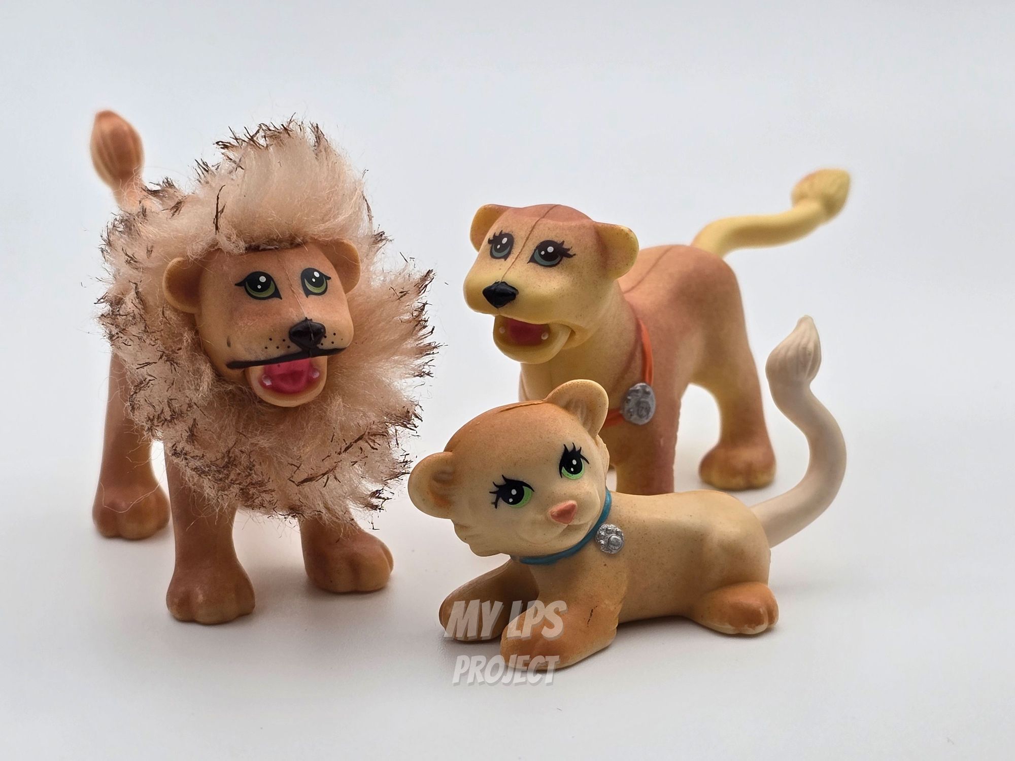 Detailed view of Lion cub
