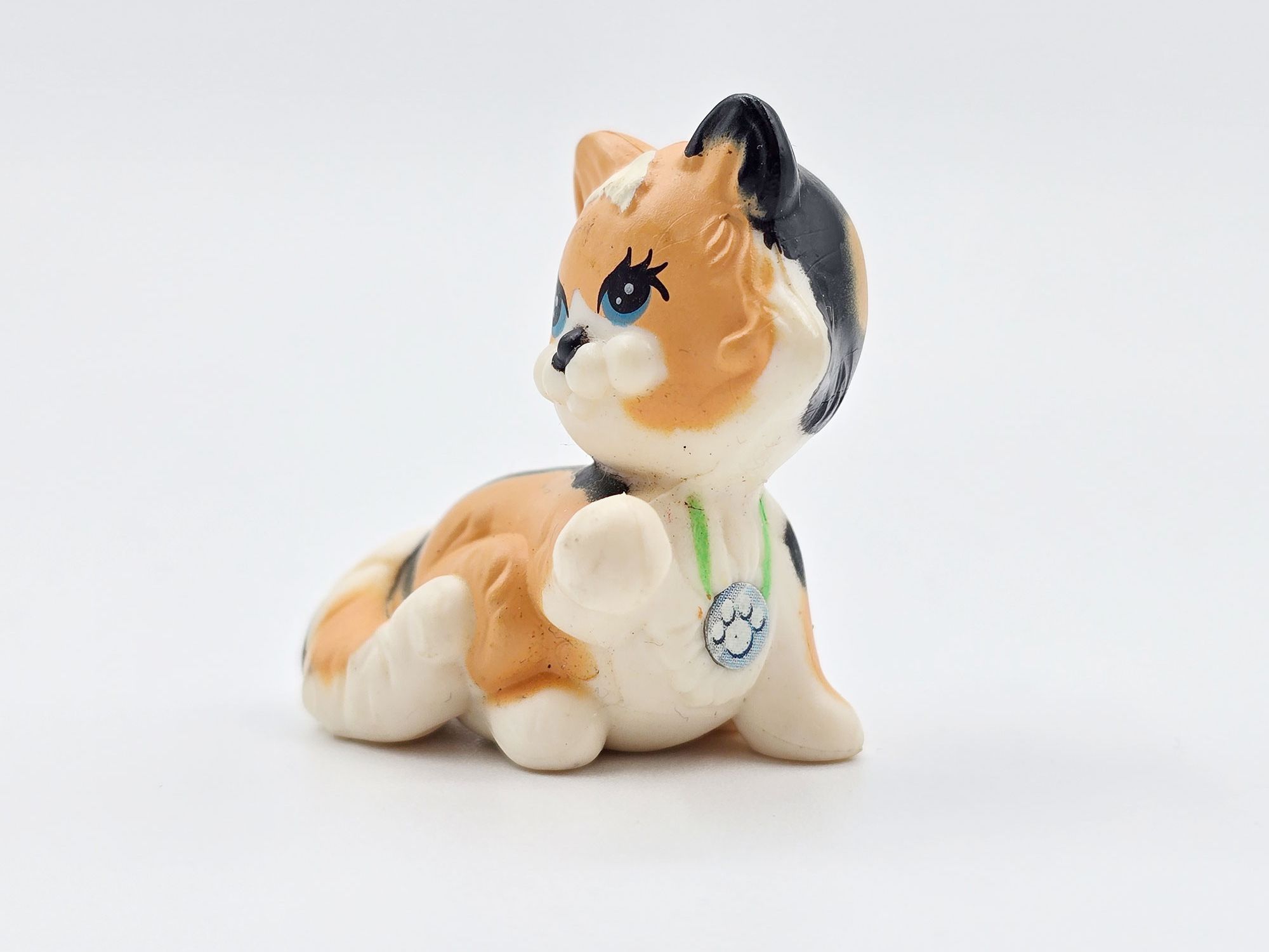 Detailed view of Calico cat