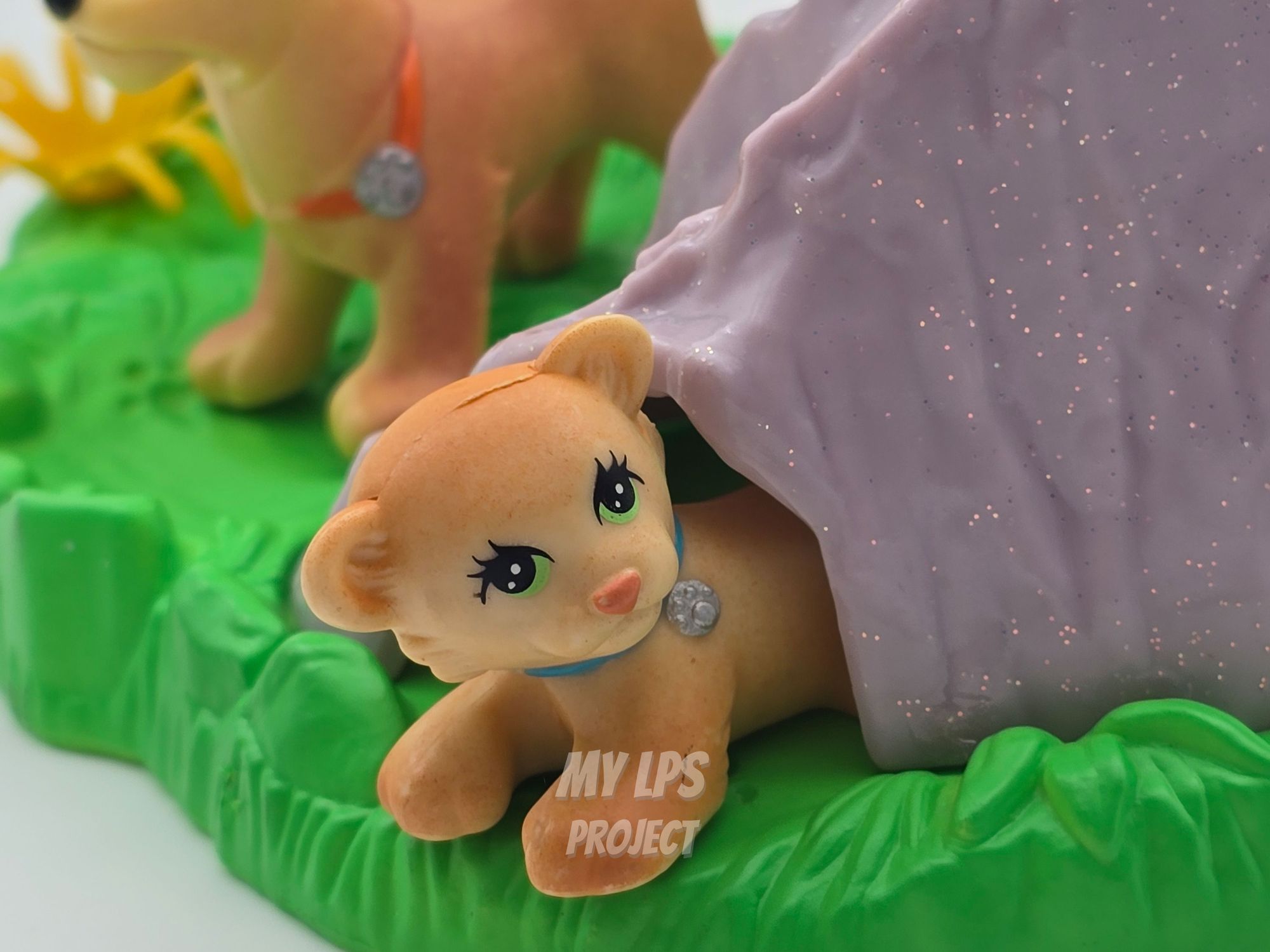 Detailed view of Lion cub