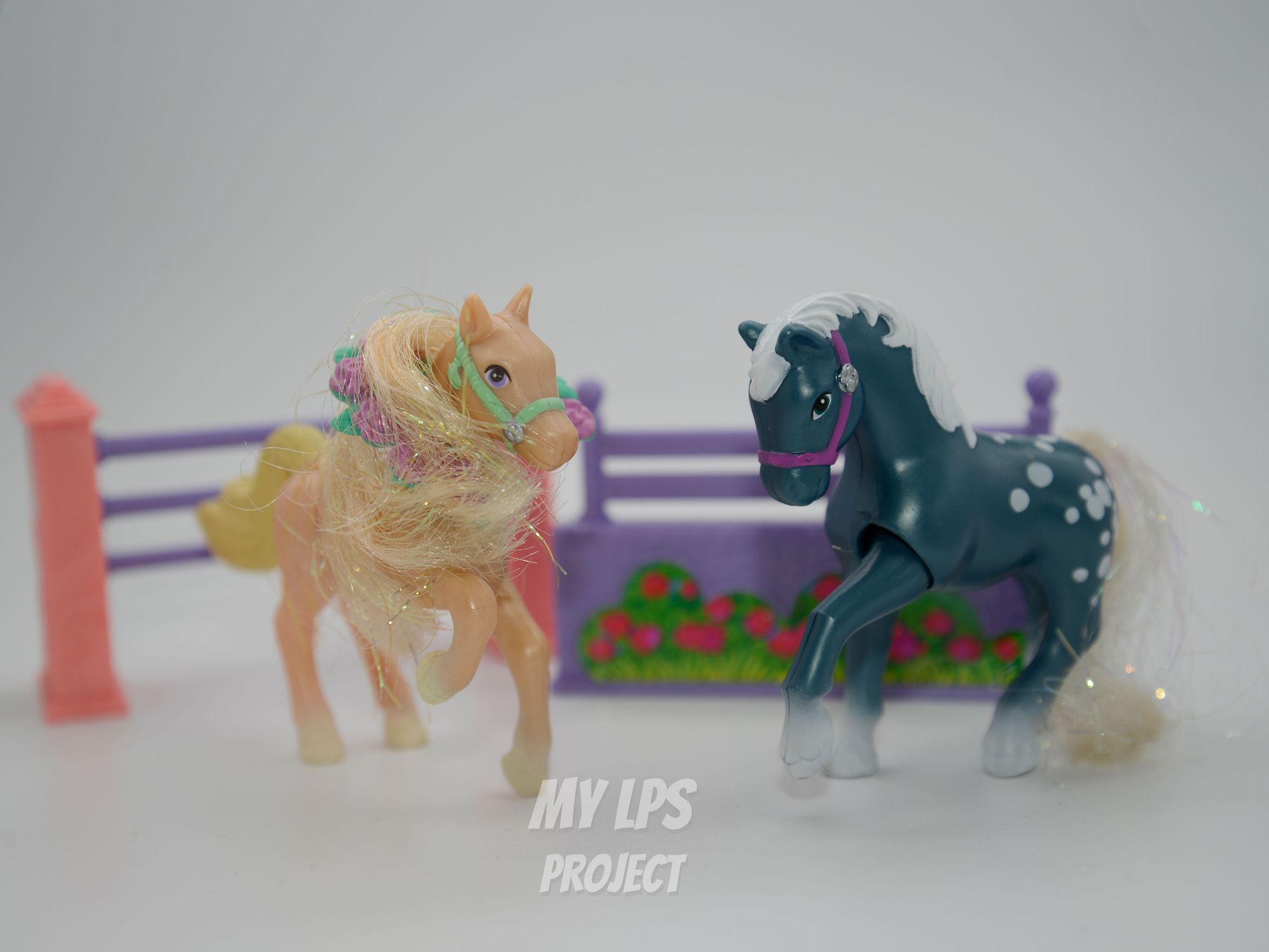 Detailed view of Champion Ponies with Jumping Contest