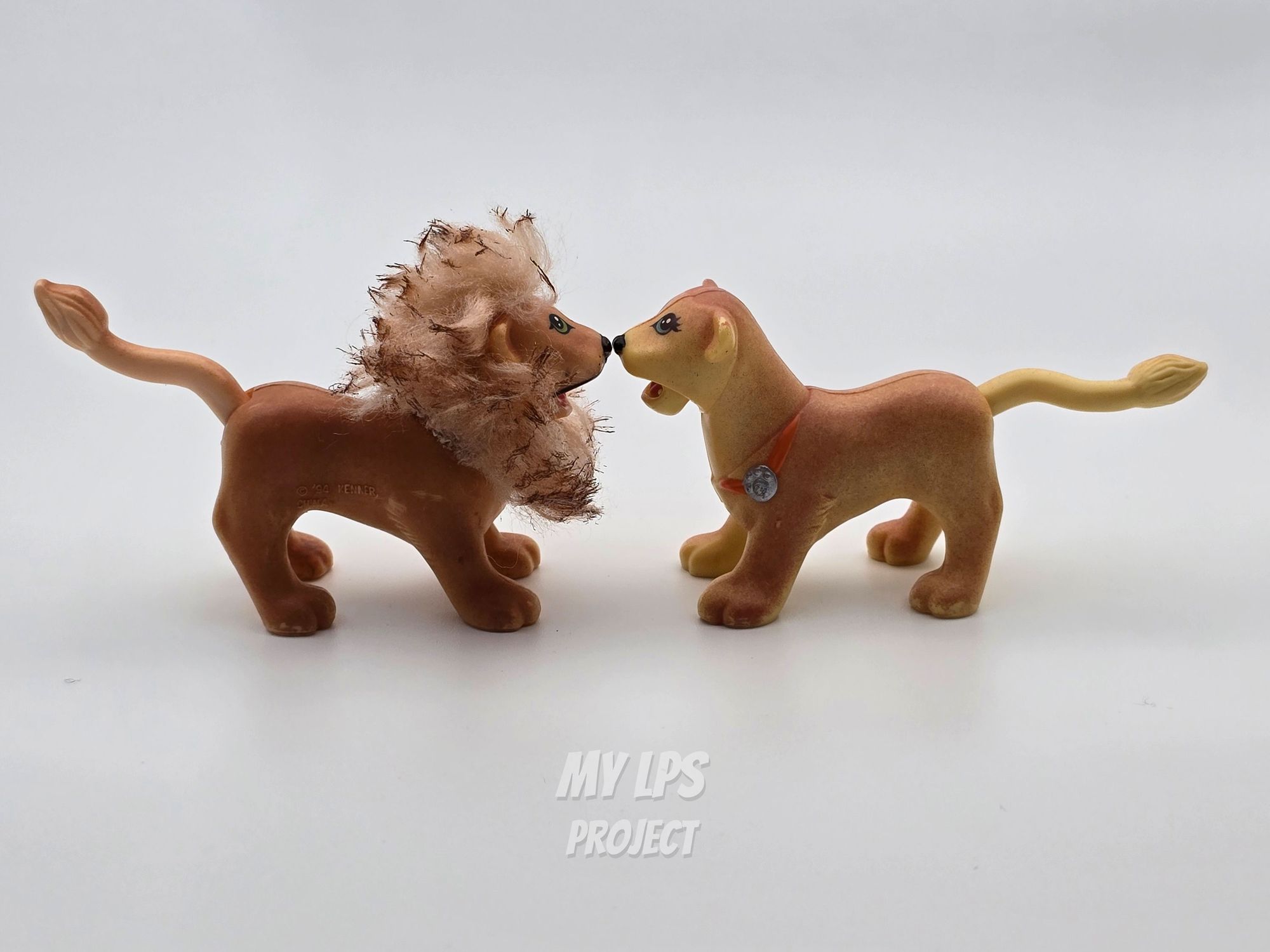 Detailed view of Lion dad