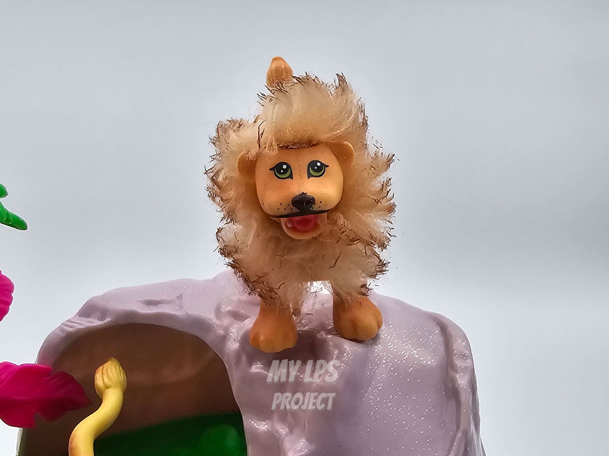 Detailed view of Lion dad