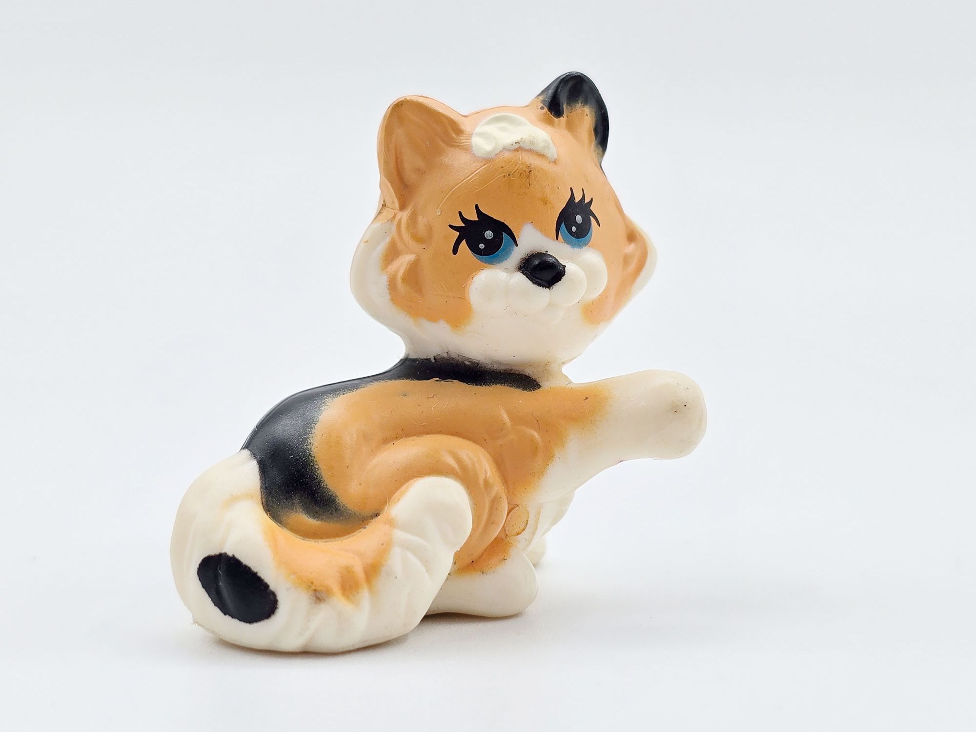 Detailed view of Calico cat