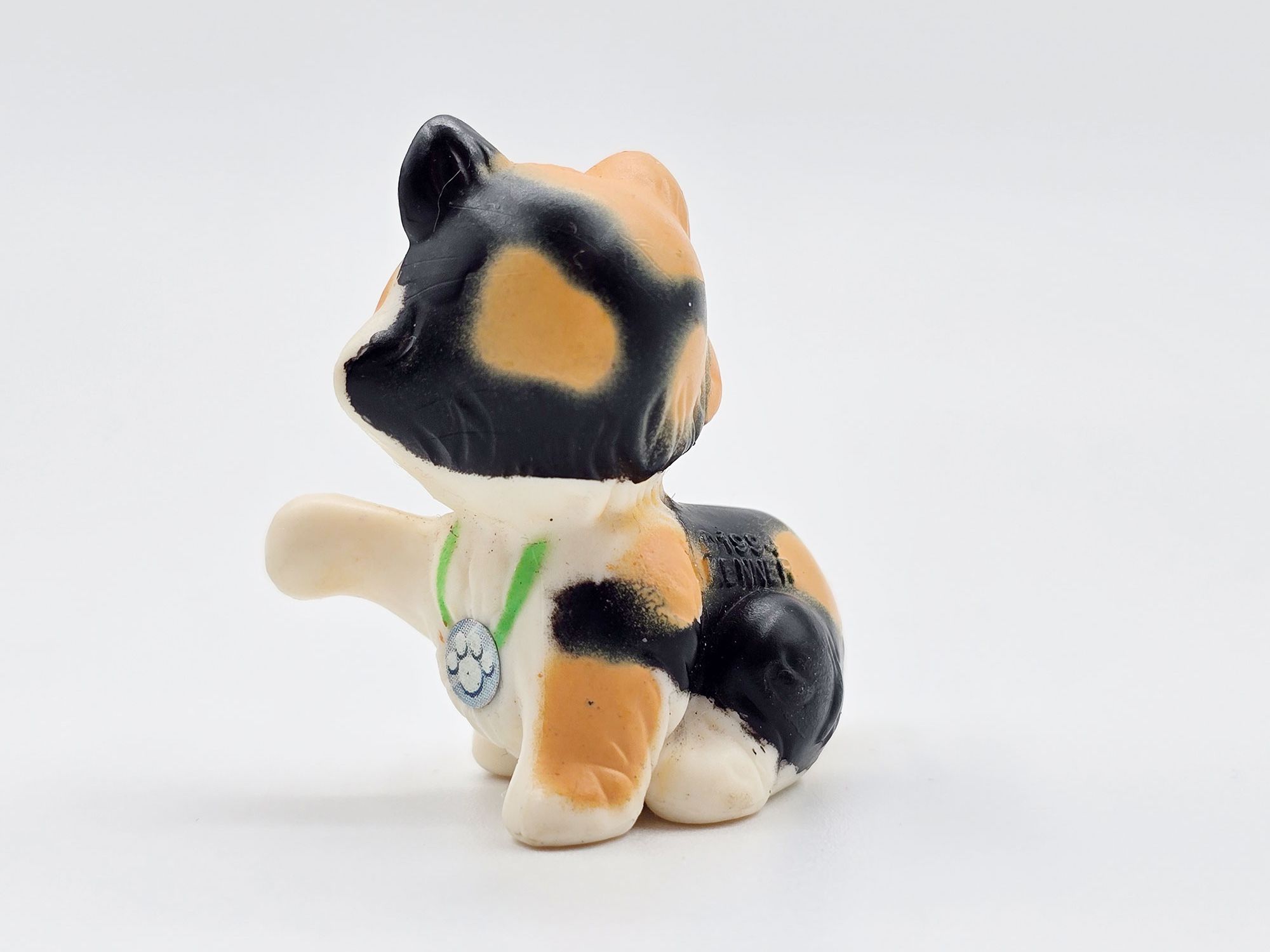 Detailed view of Calico cat