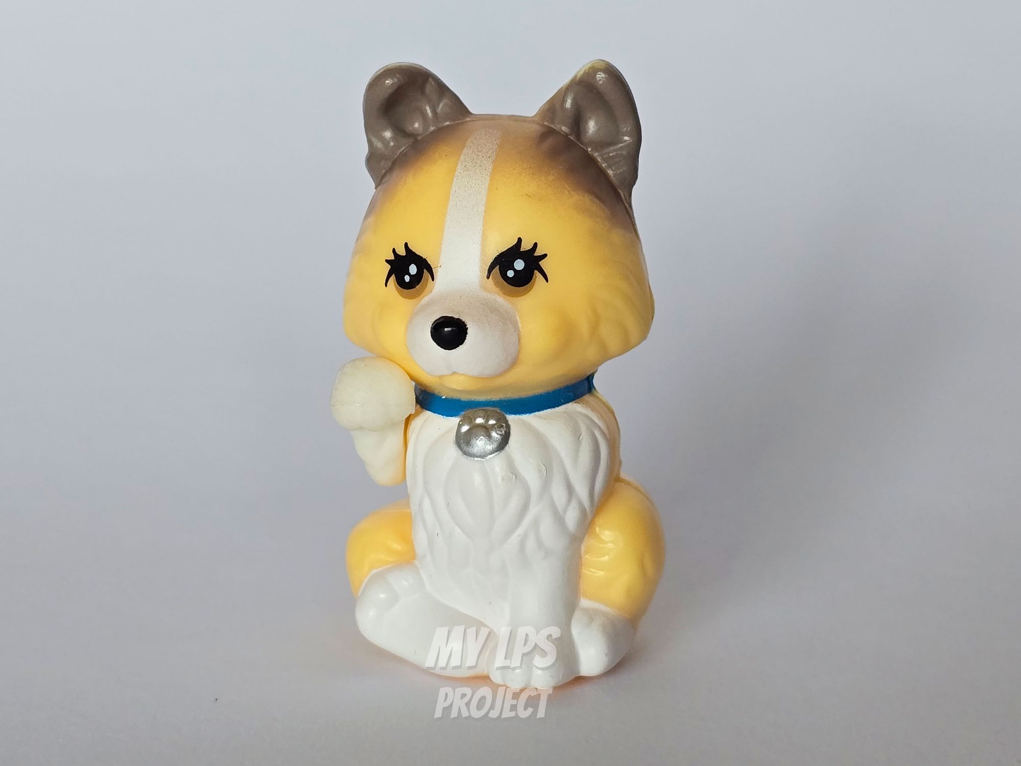 Detailed view of Clever Collie