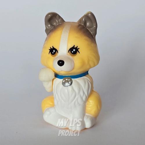 Cover image from Clever Collie