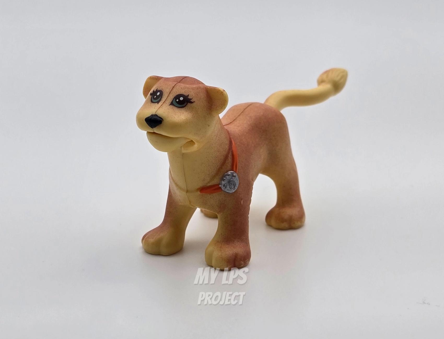 Lioness mommy