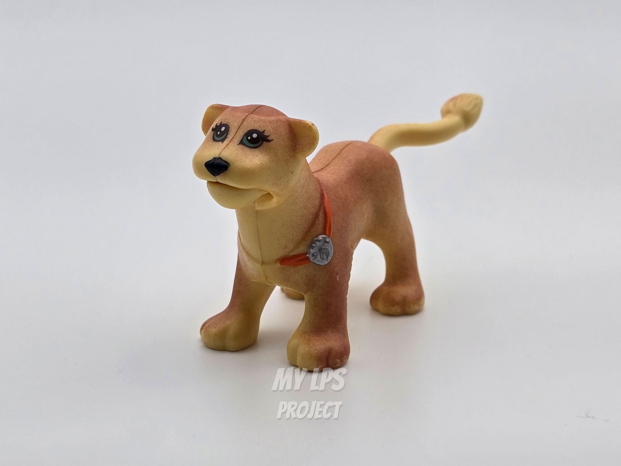 Detailed view of Lioness mommy