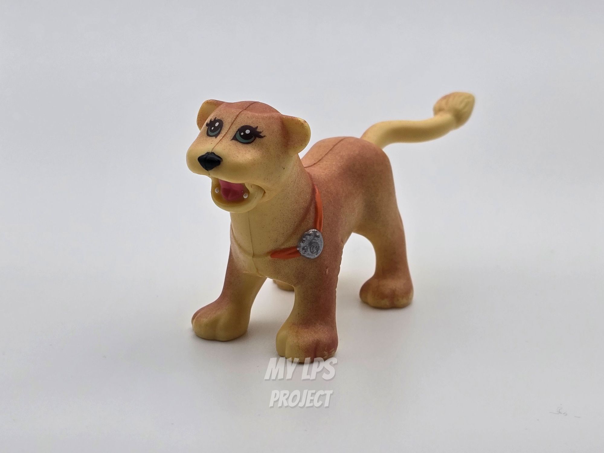 Detailed view of Lioness mommy