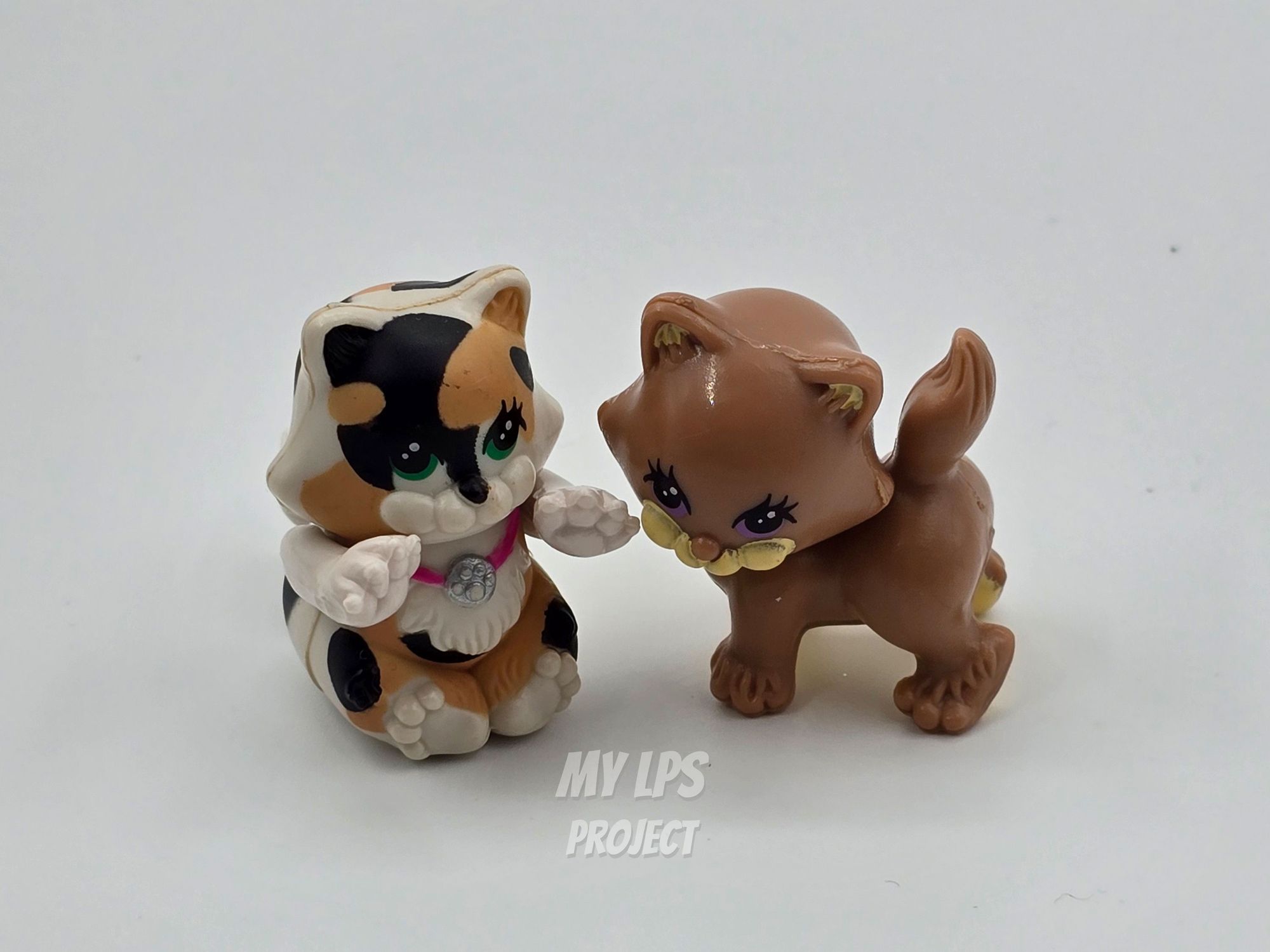 Detailed view of Spotted Charming Kitty