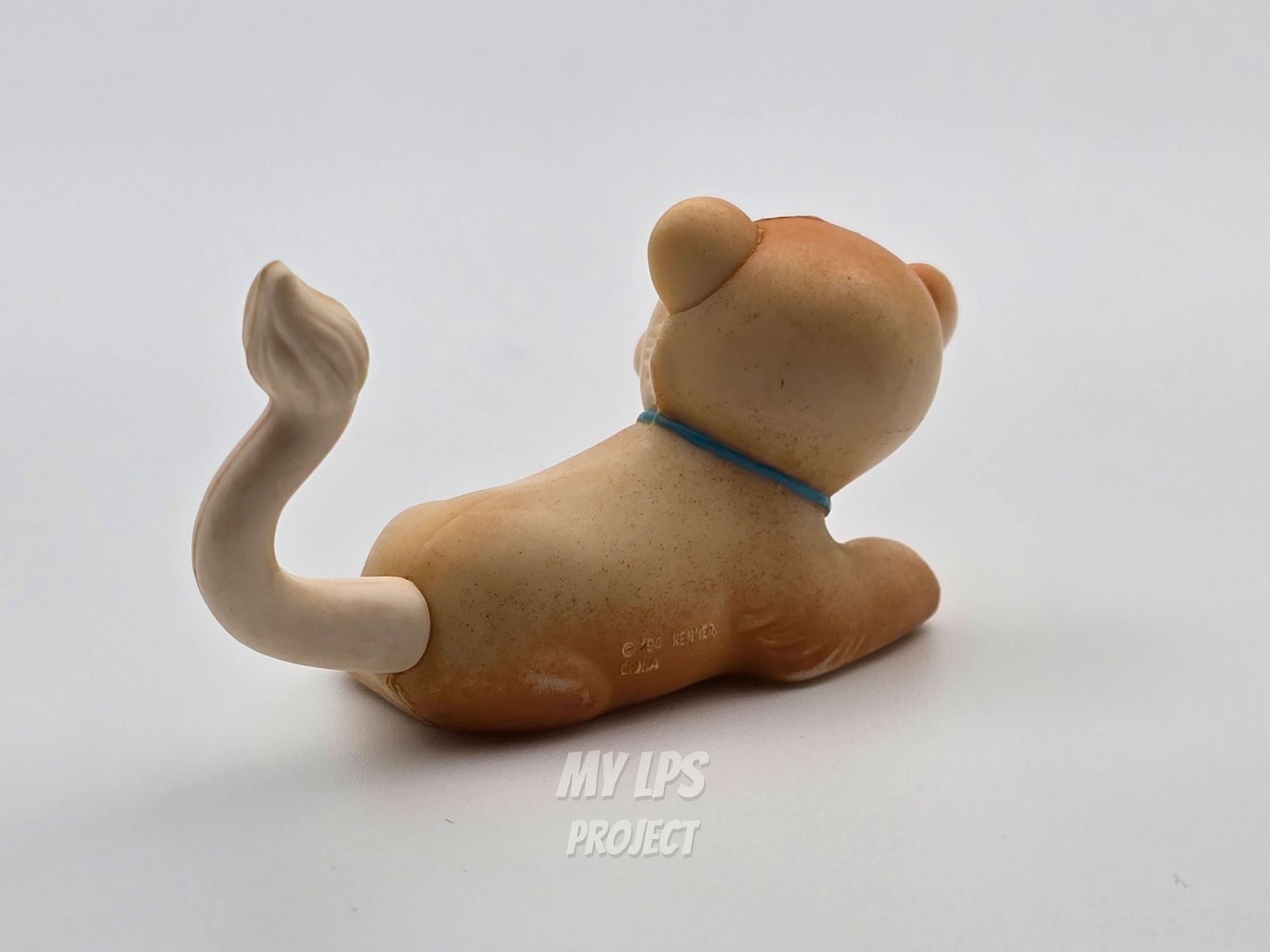 Detailed view of Lion cub