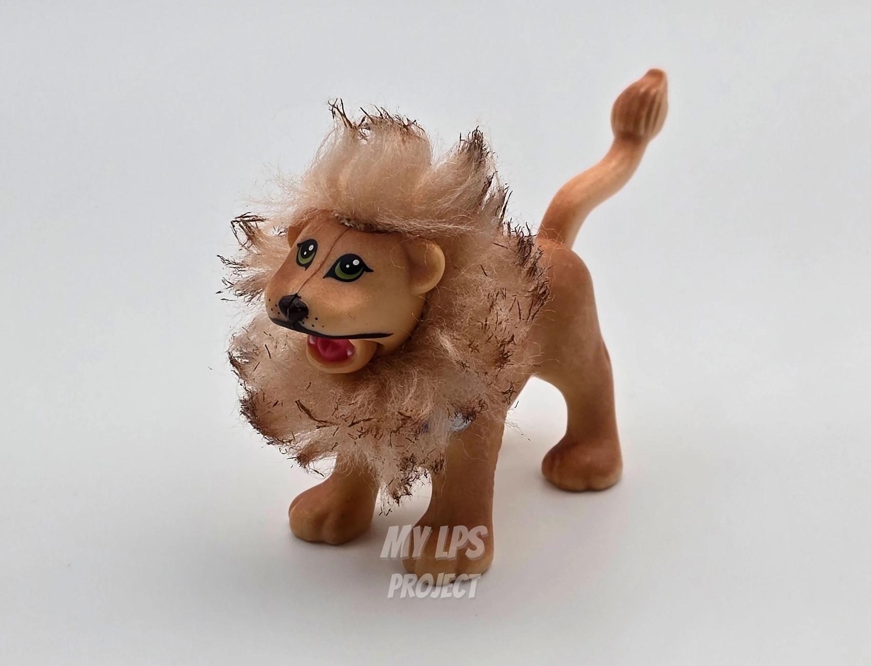Lion dad