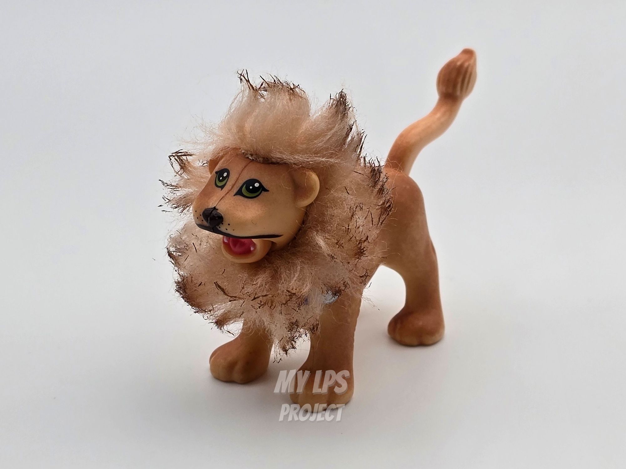 Detailed view of Lion dad