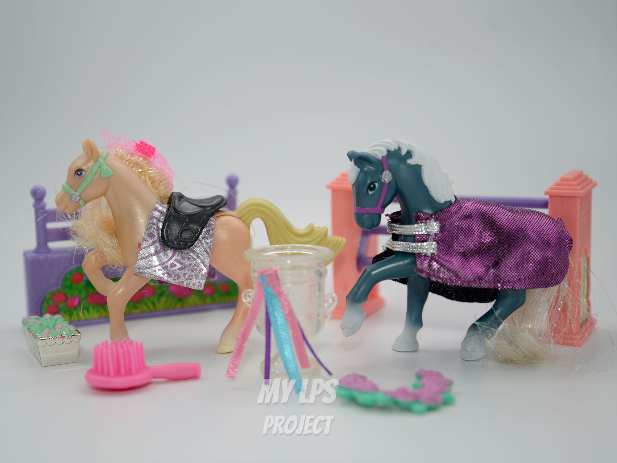 Detailed view of Champion Ponies with Jumping Contest