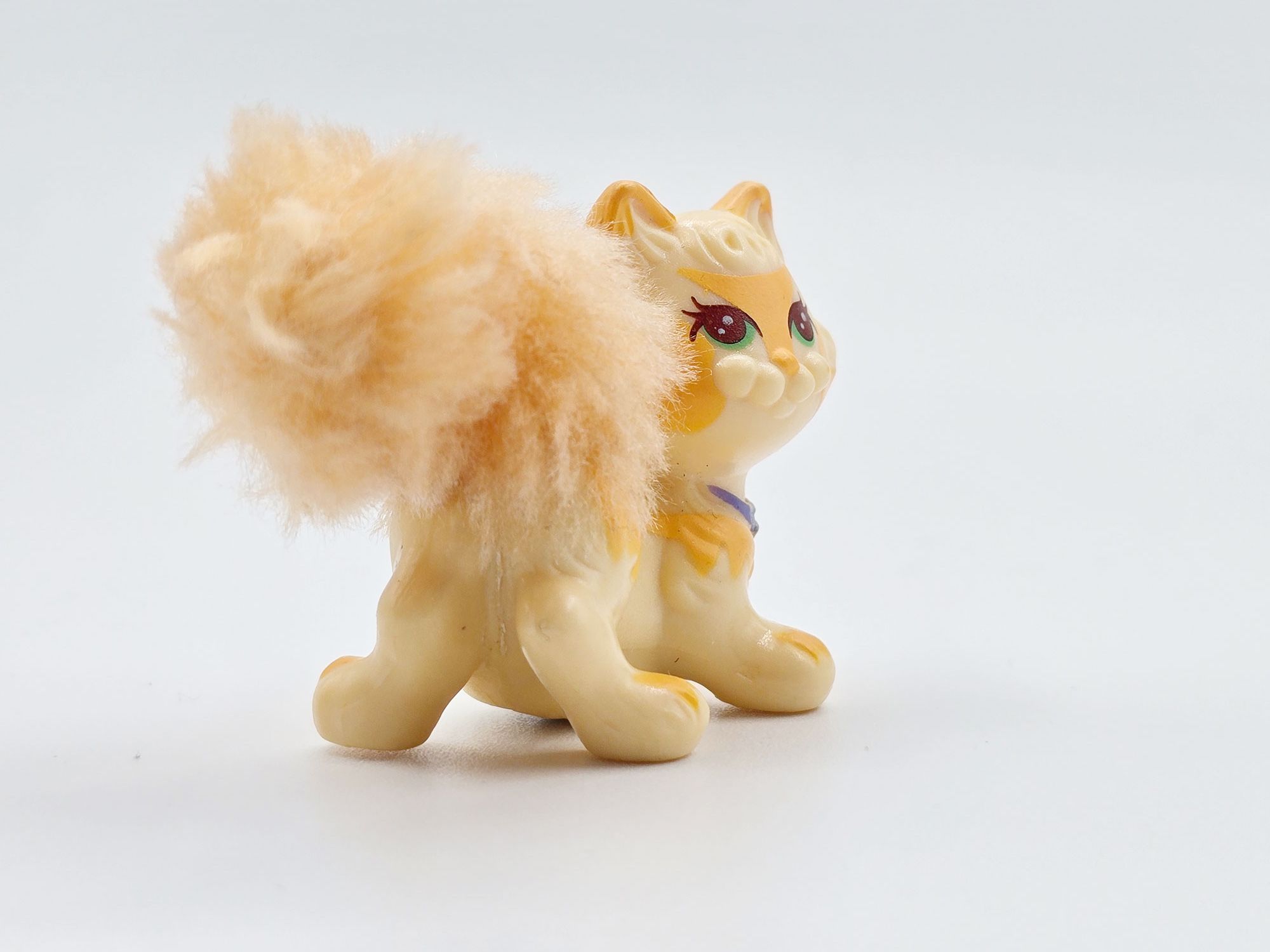 Detailed view of Yellow tabby cat