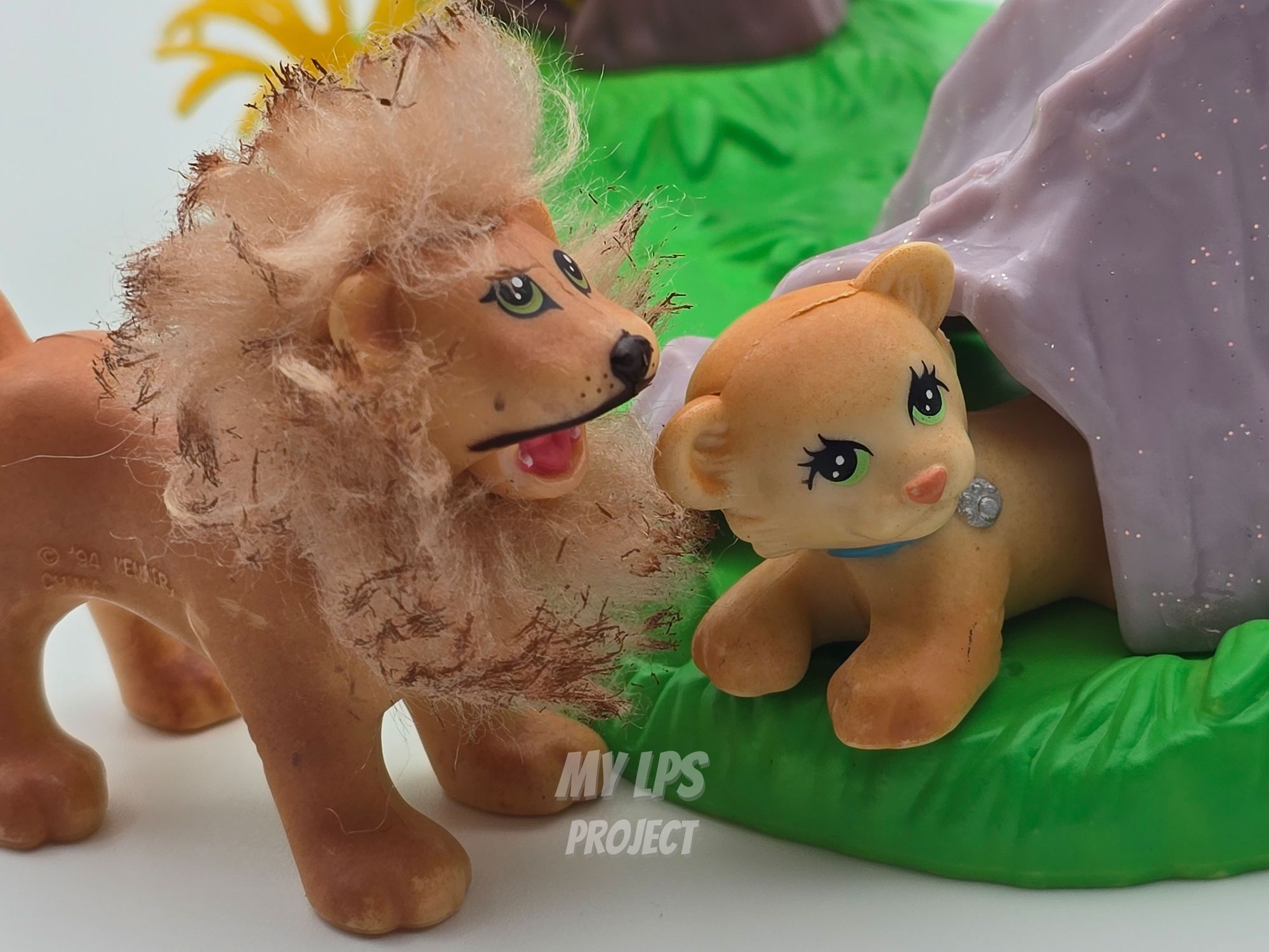 Detailed view of Lion dad