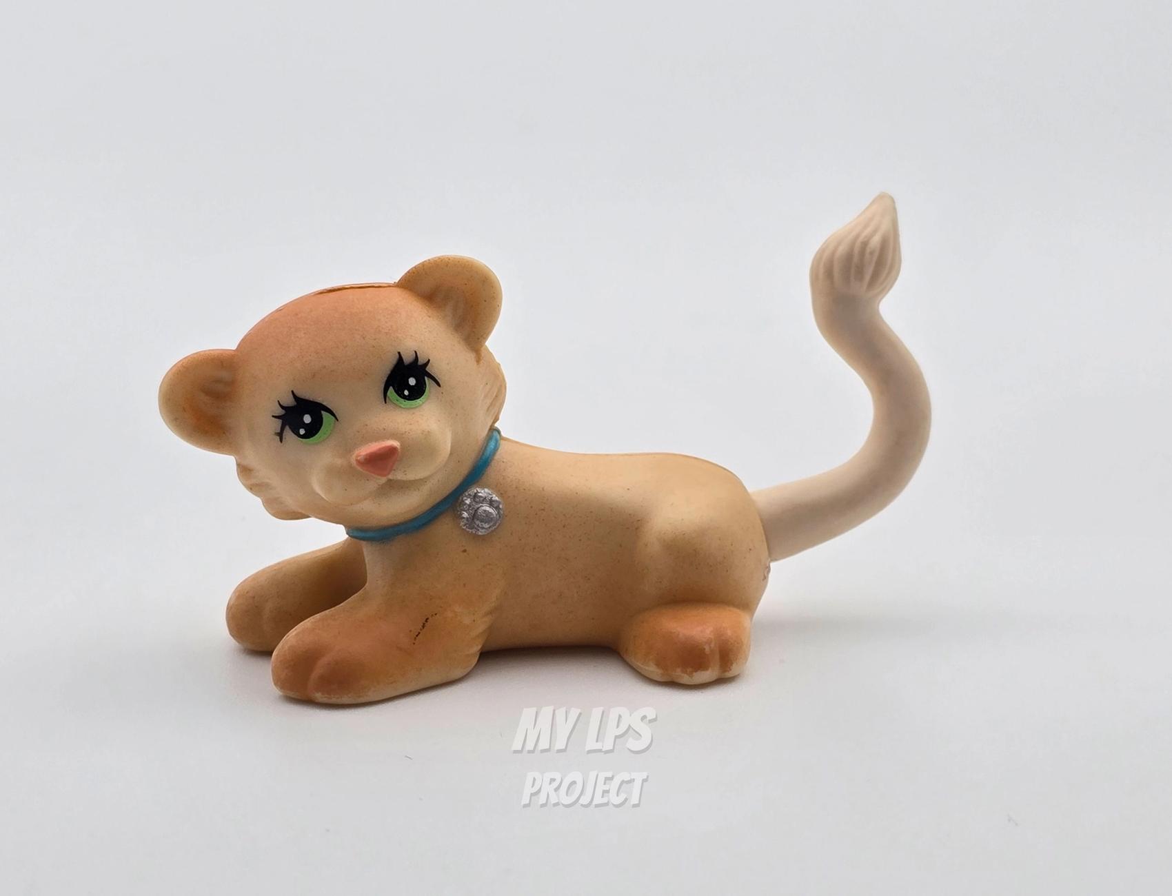 Lion cub
