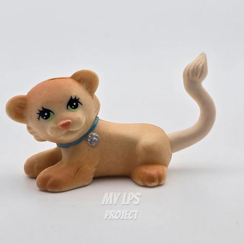 Cover image from Lion cub