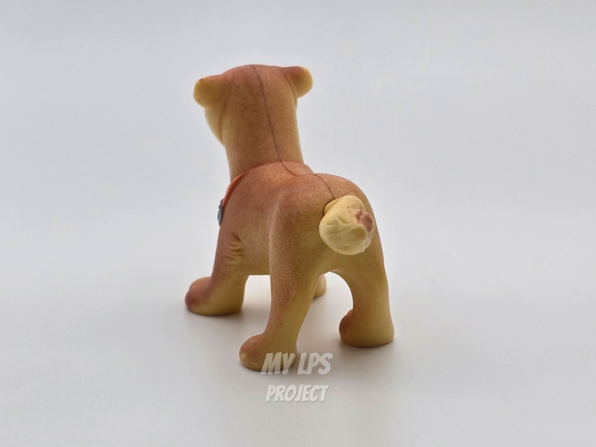 Detailed view of Lioness mommy