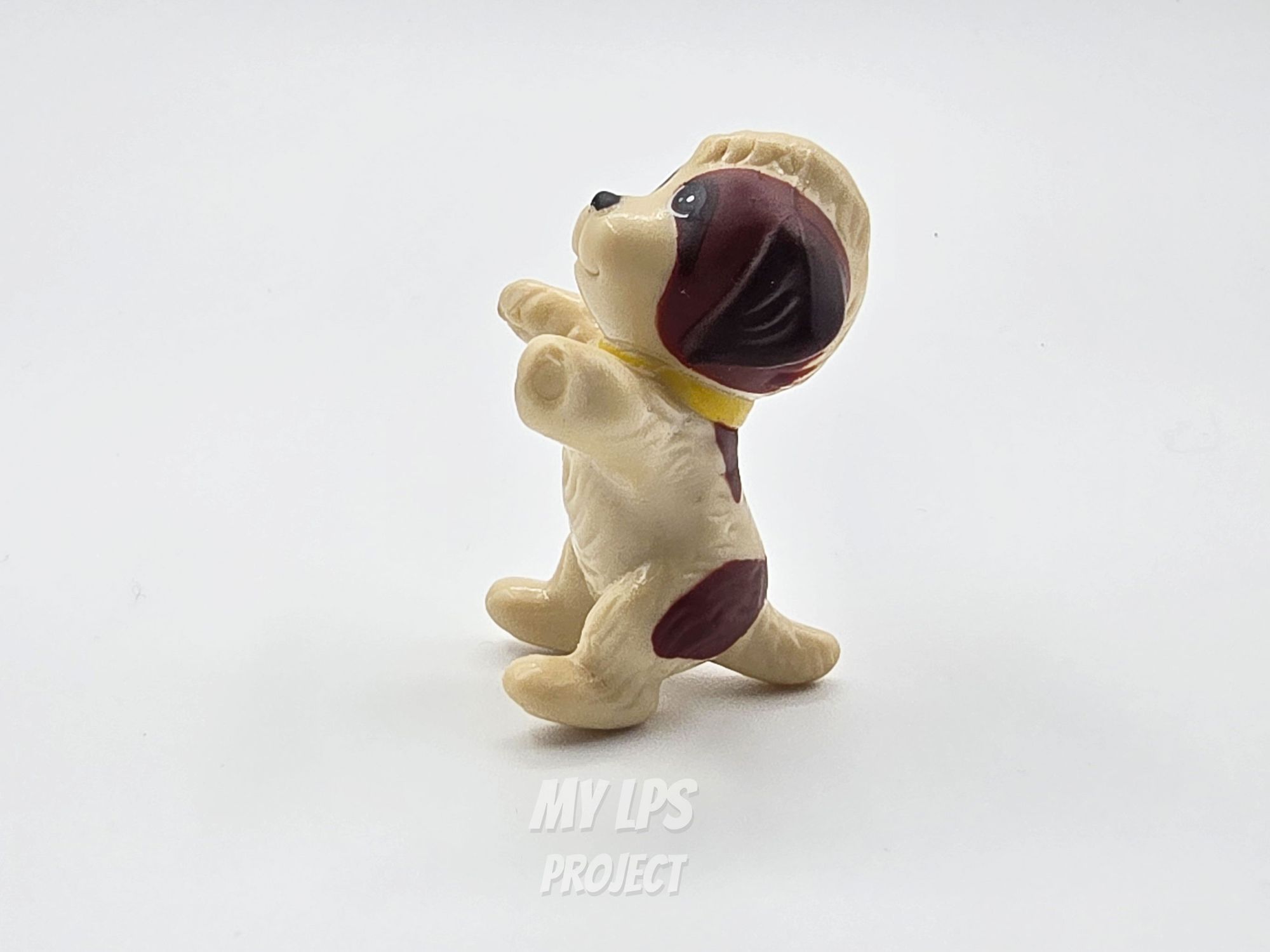 Detailed view of Mo Pup (Puppy Pool)
