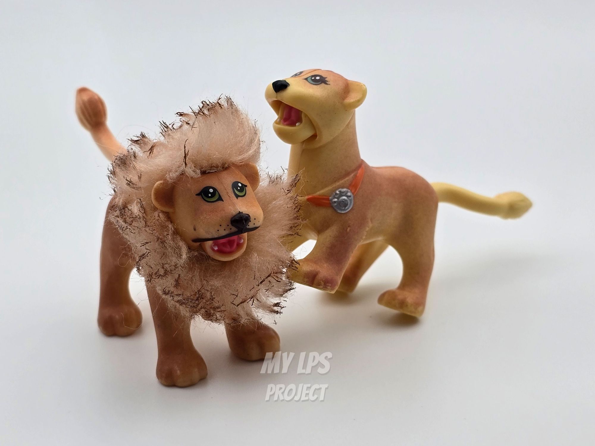 Detailed view of Lioness mommy