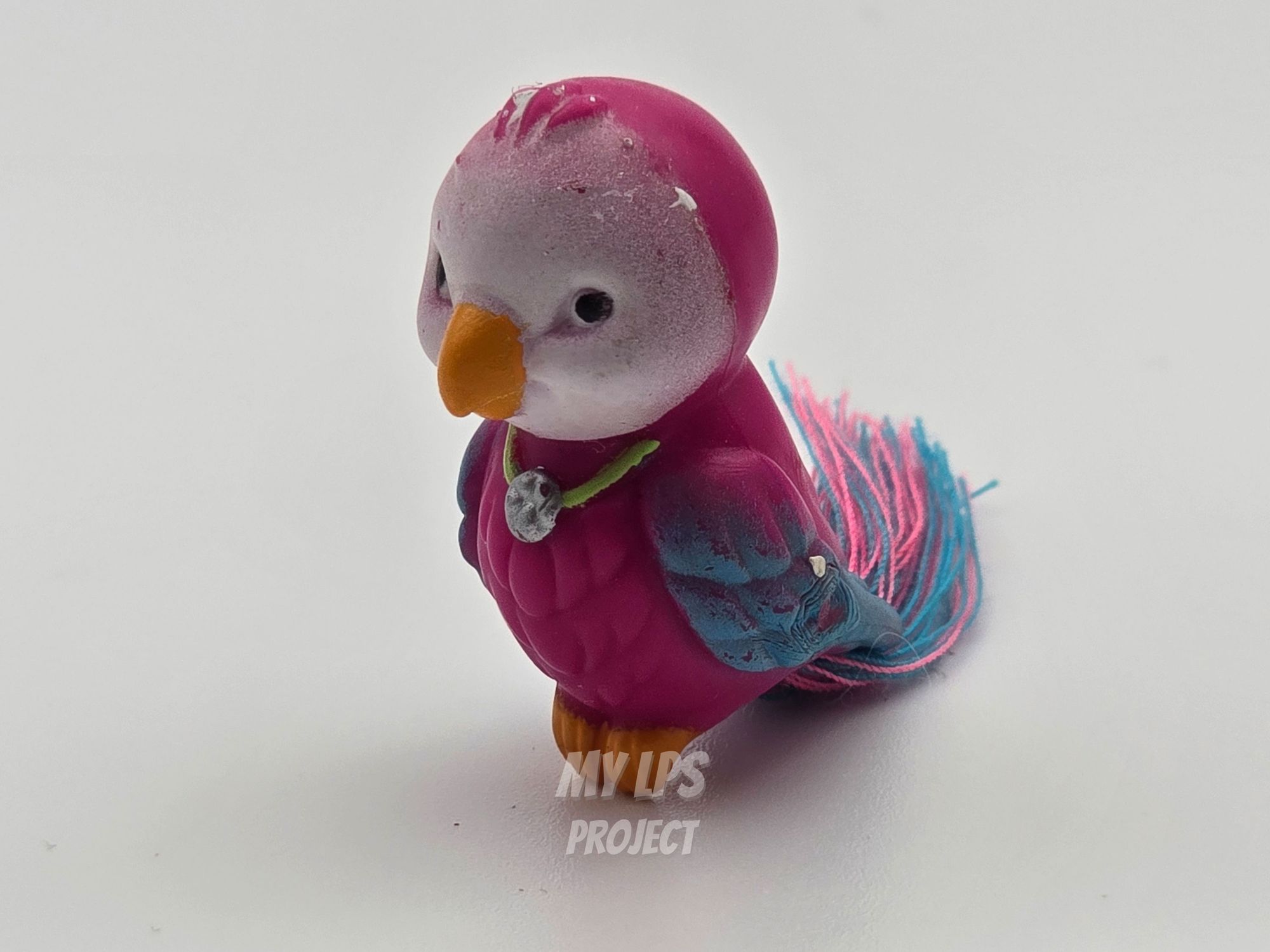Detailed view of Macaw