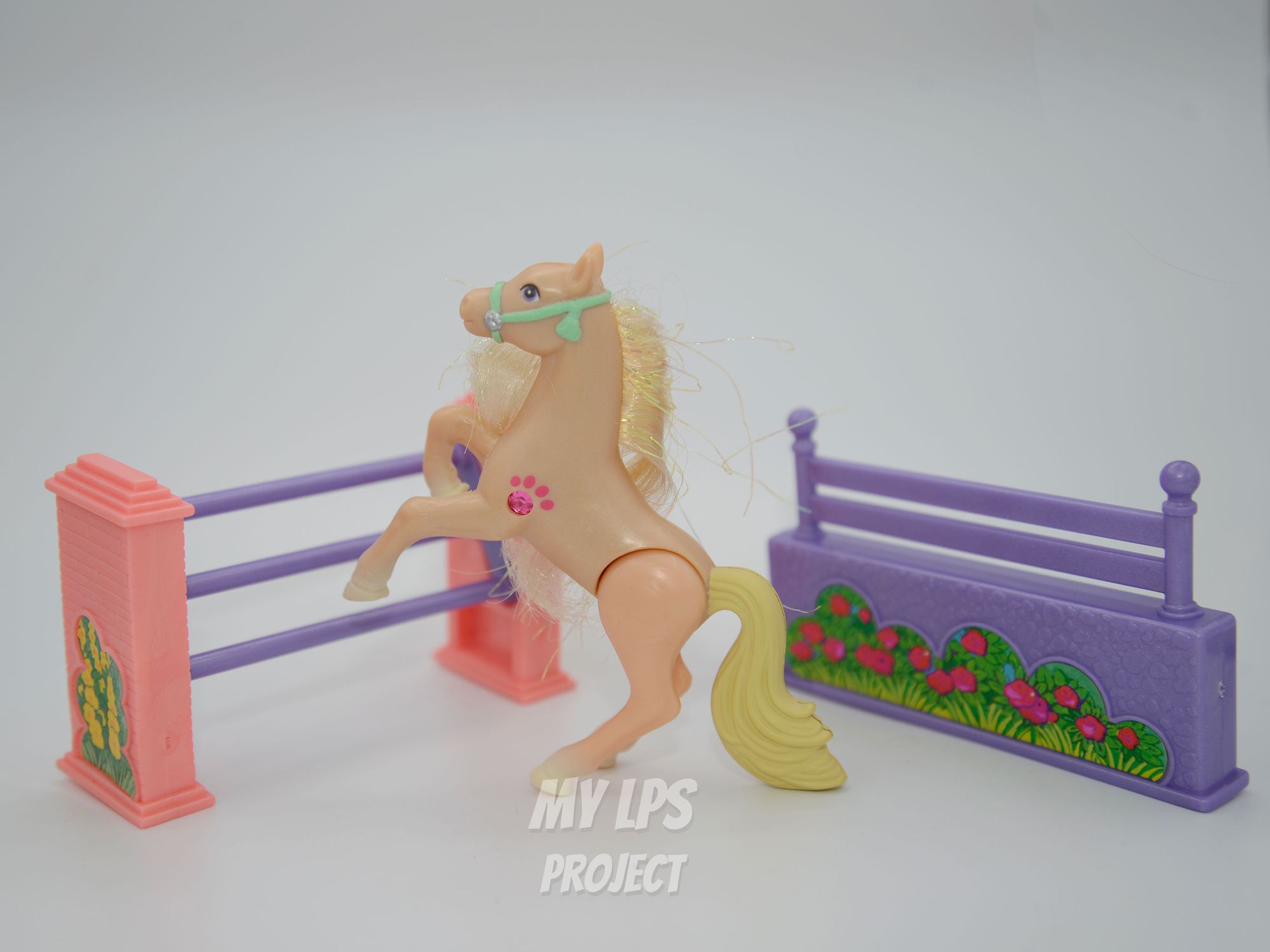 Detailed view of Champion Ponies with Jumping Contest