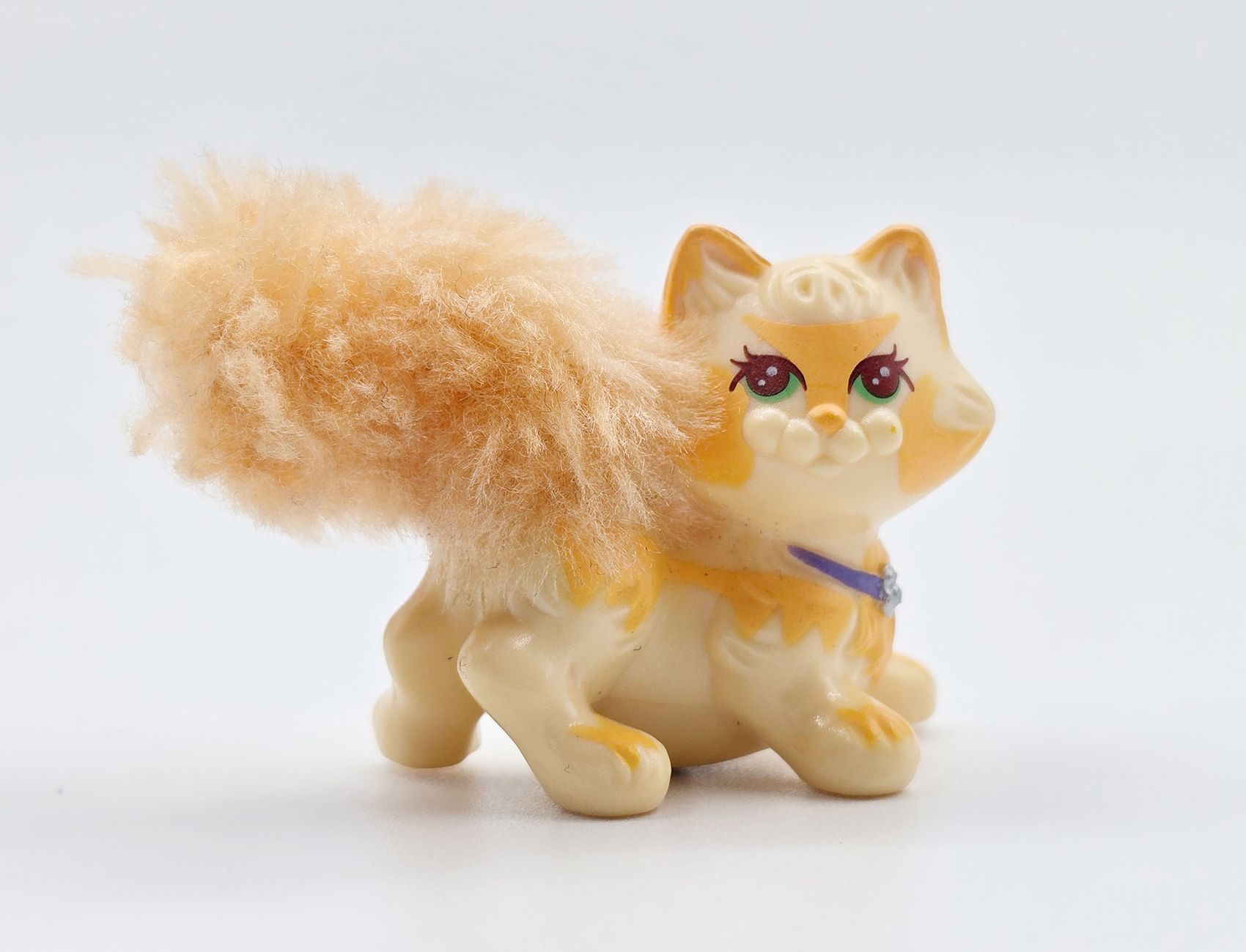 Yellow tabby cat