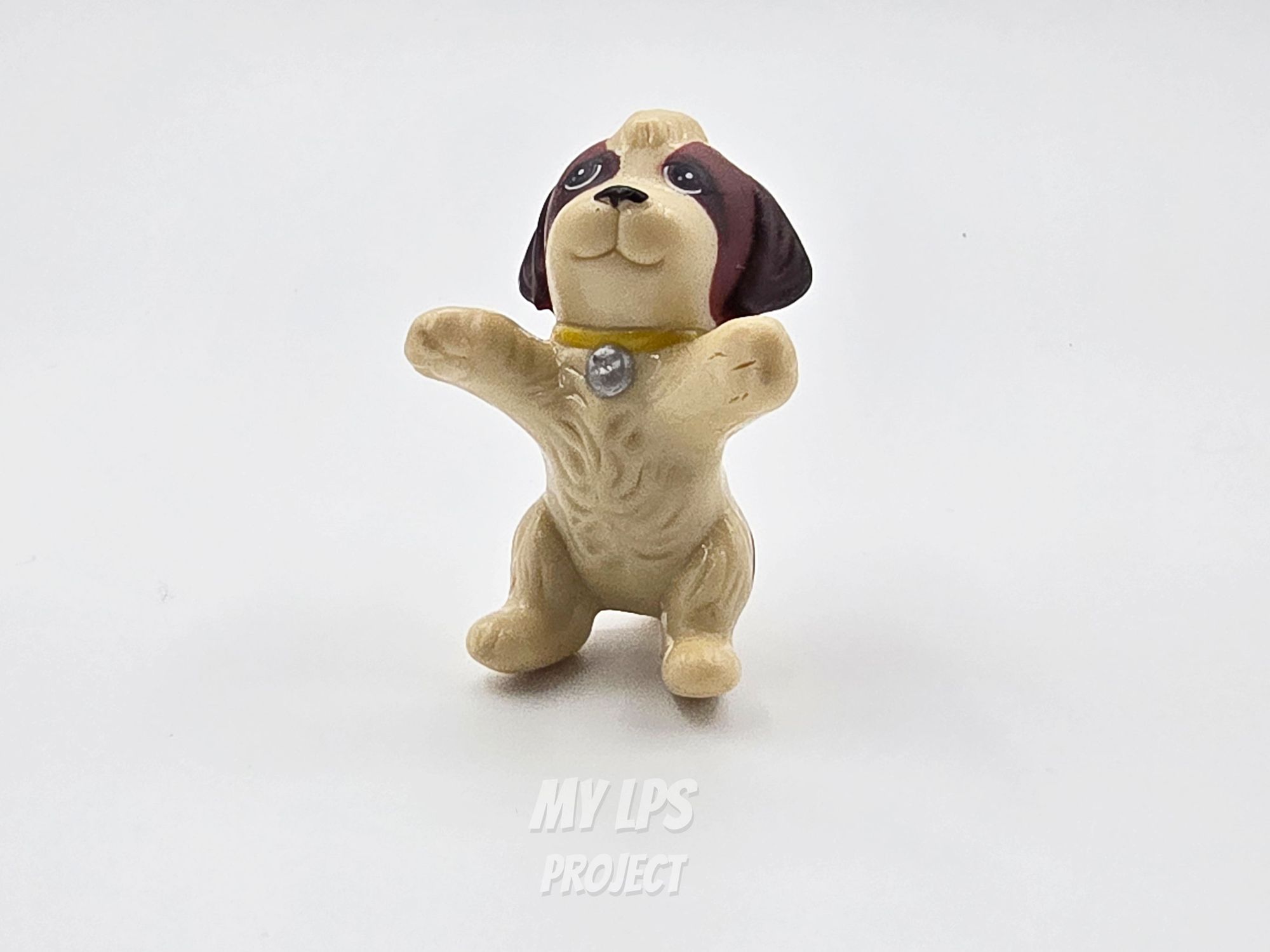 Detailed view of Mo Pup (Puppy Pool)