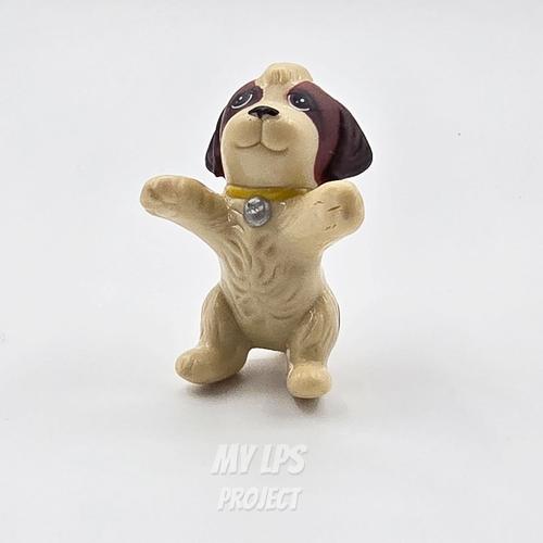 Cover image from Mo Pup (Puppy Pool)