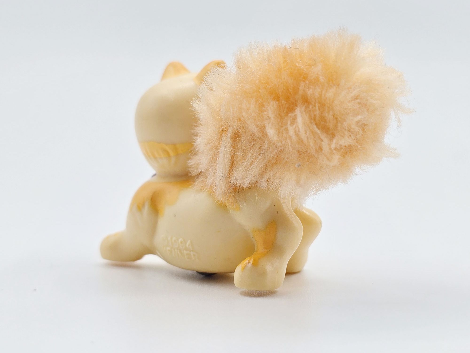 Detailed view of Yellow tabby cat