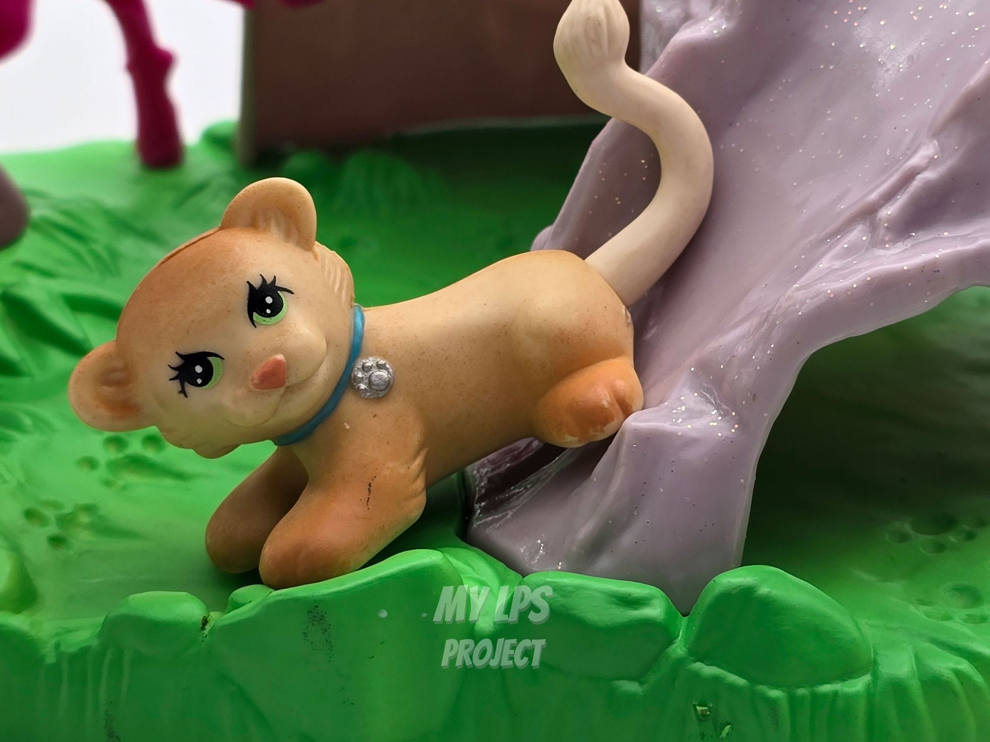 Detailed view of Lion Family
