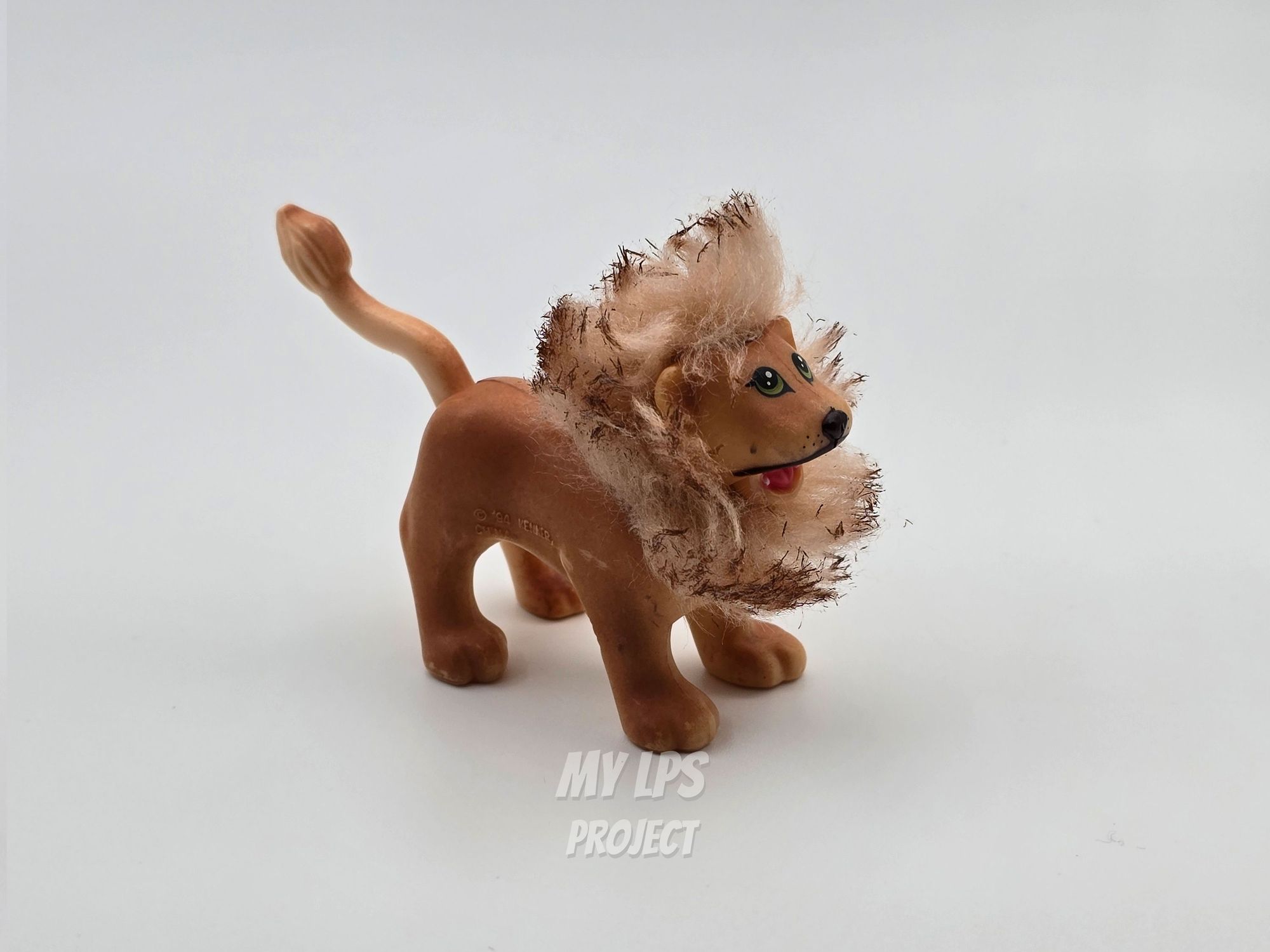 Detailed view of Lion dad
