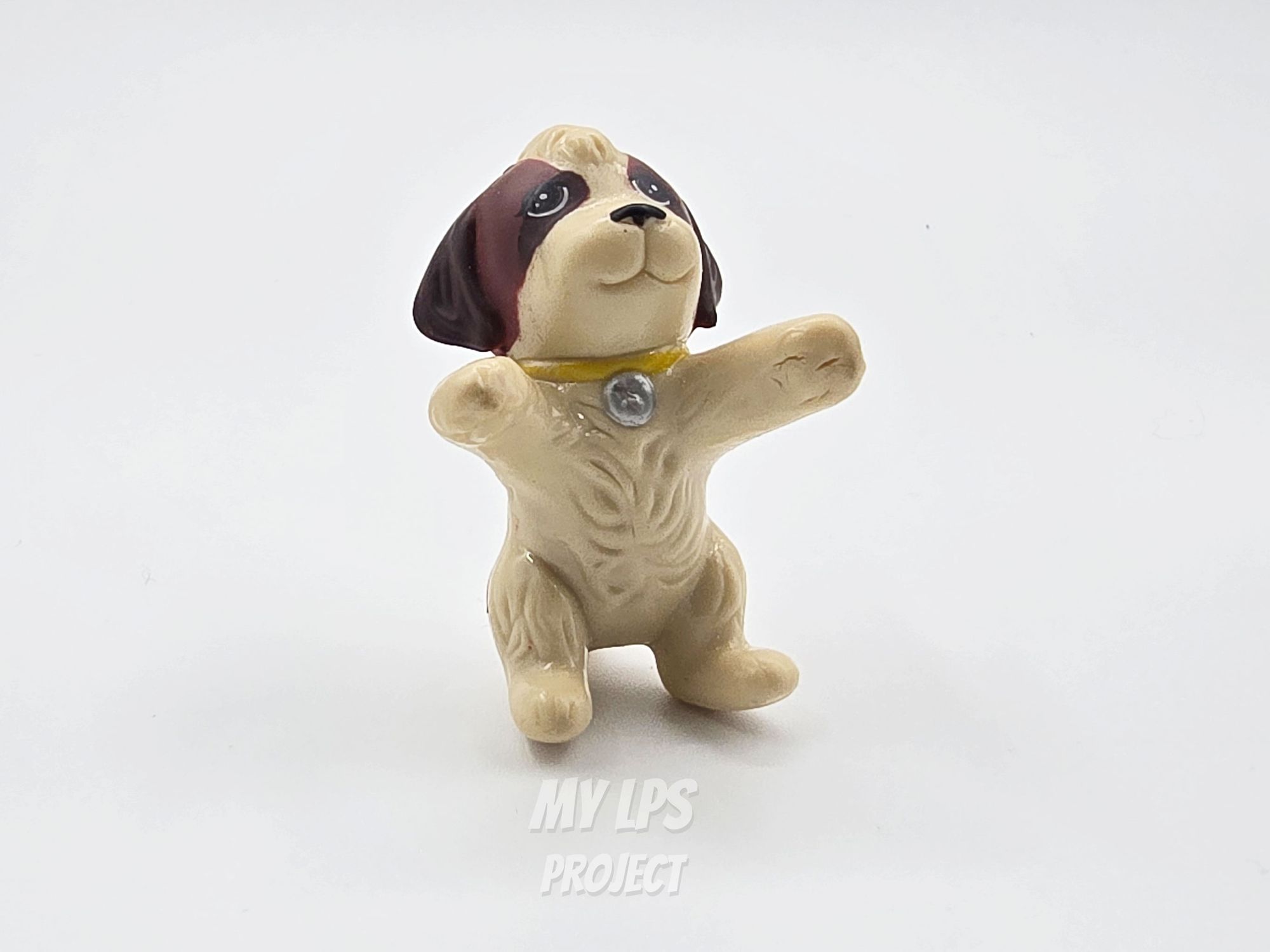 Detailed view of Mo Pup (Puppy Pool)