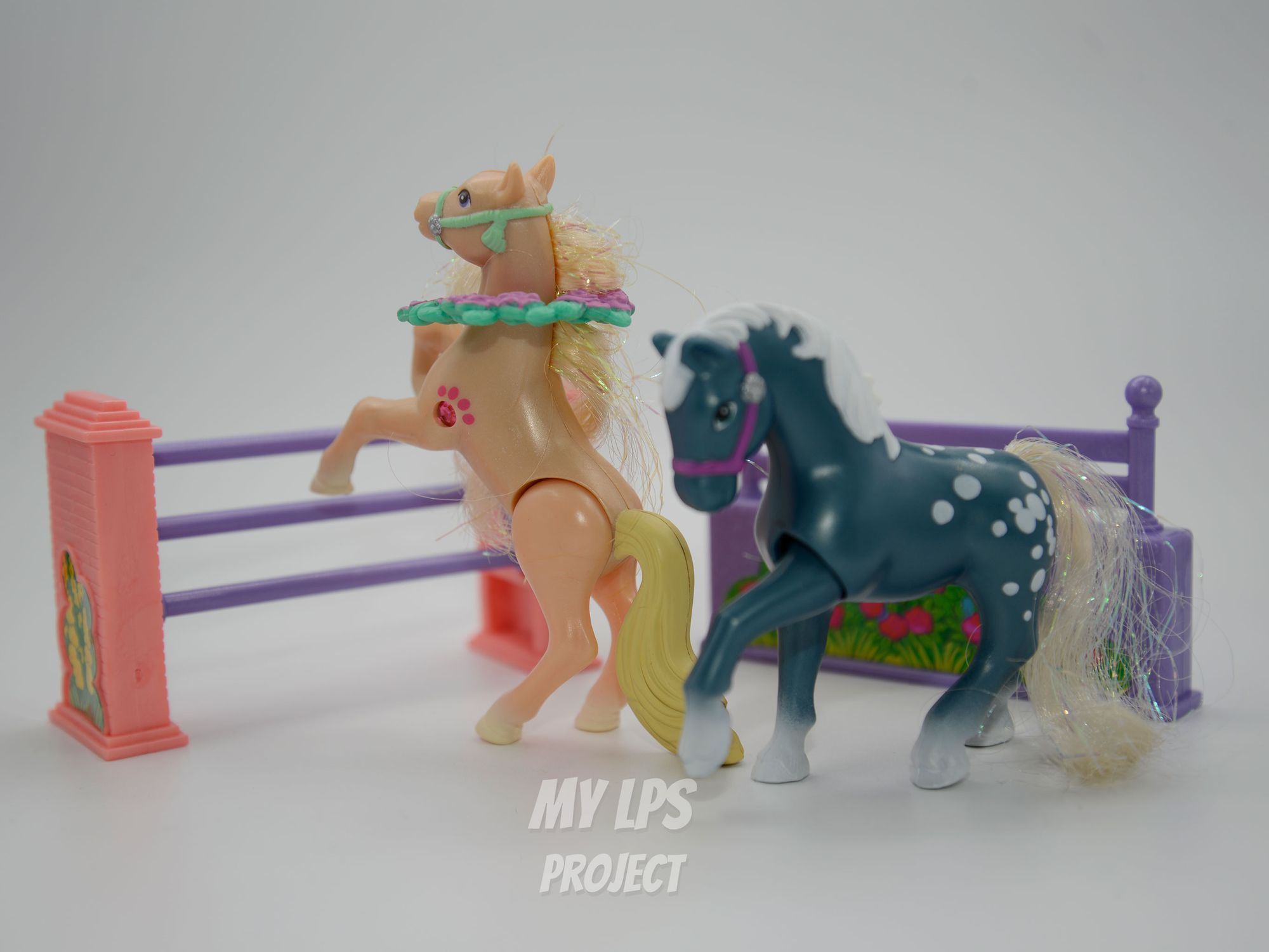 Detailed view of Champion Ponies with Jumping Contest
