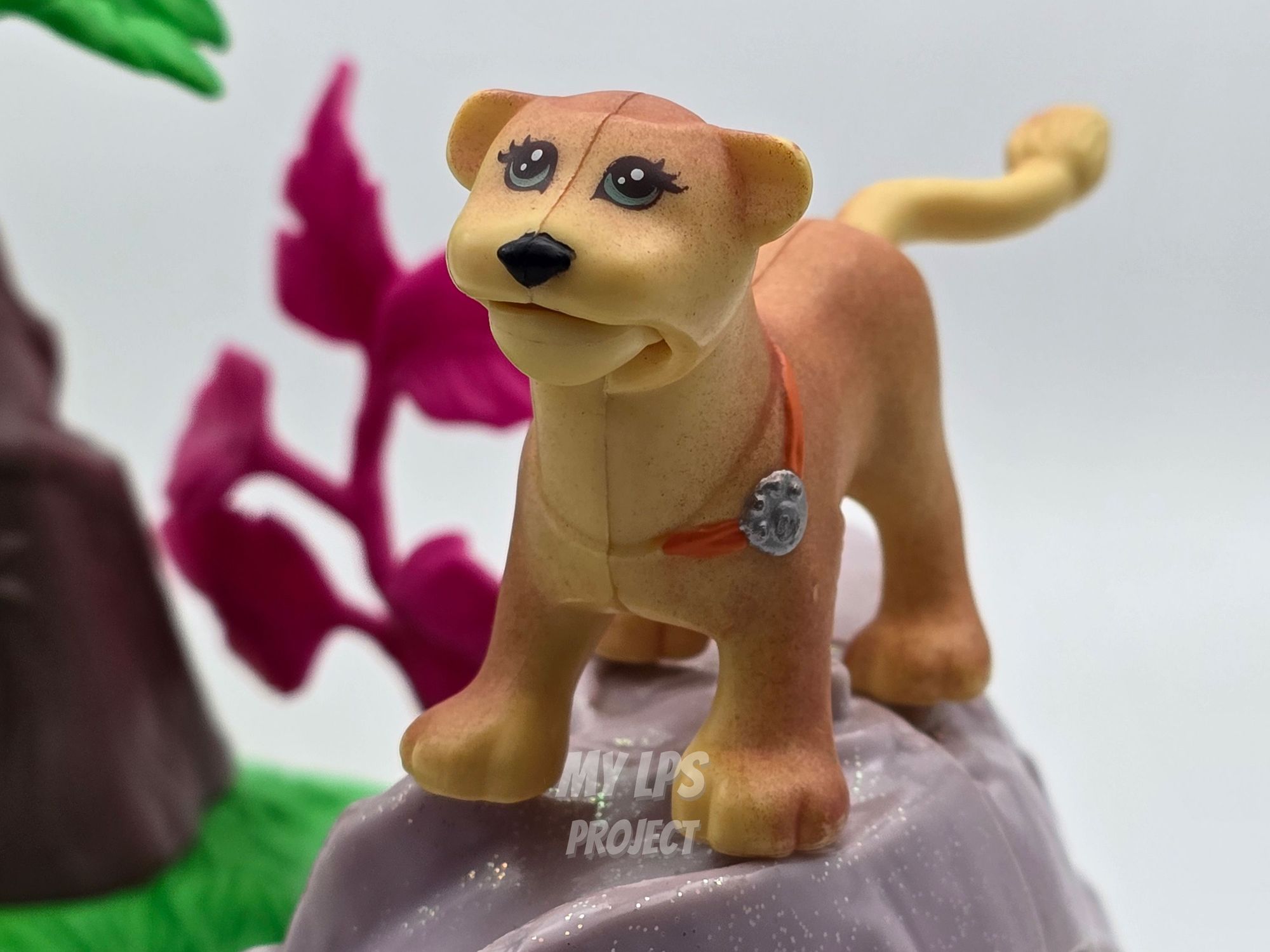 Detailed view of Lioness mommy