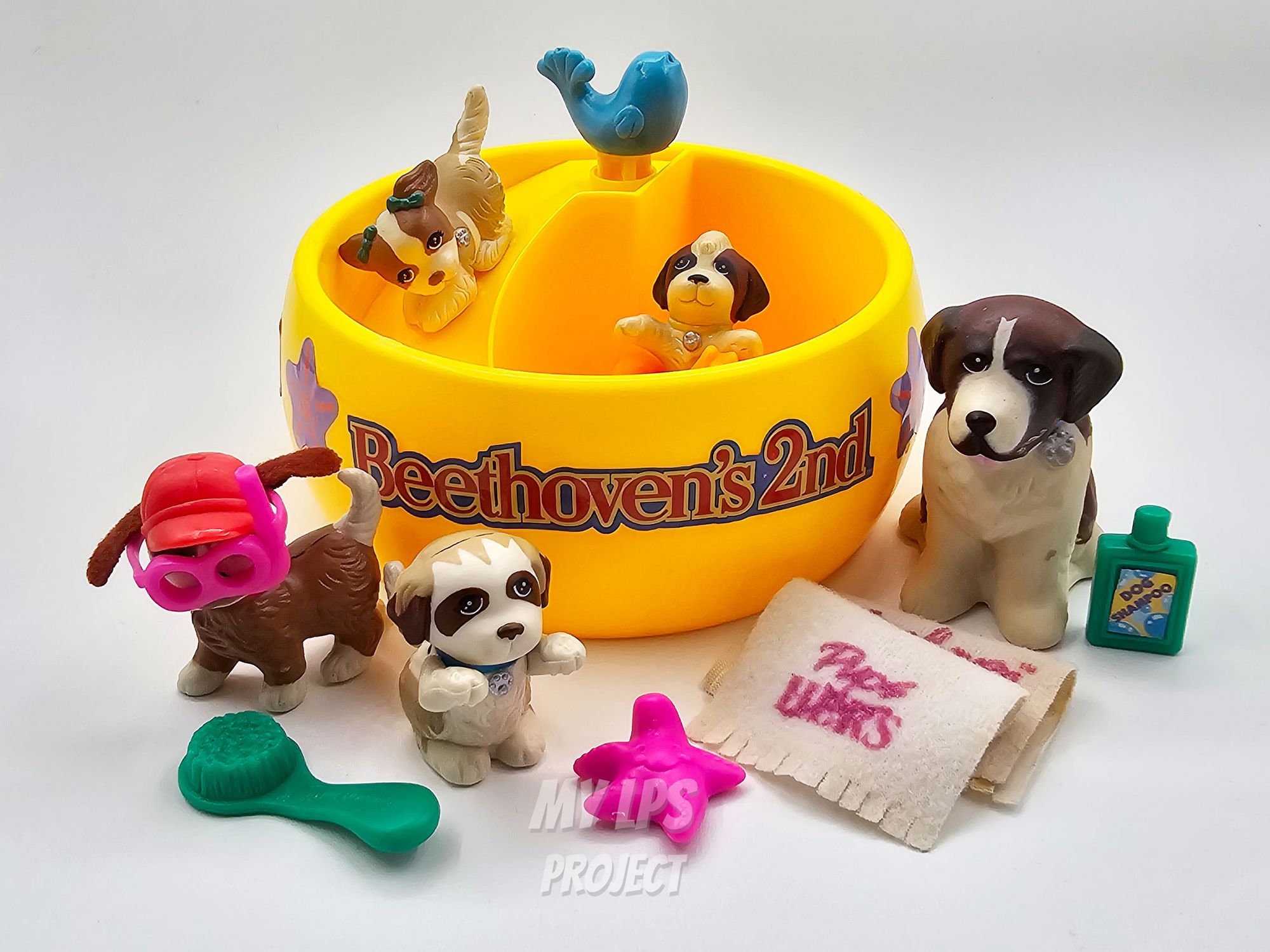 Detailed view of Puppy Pool
