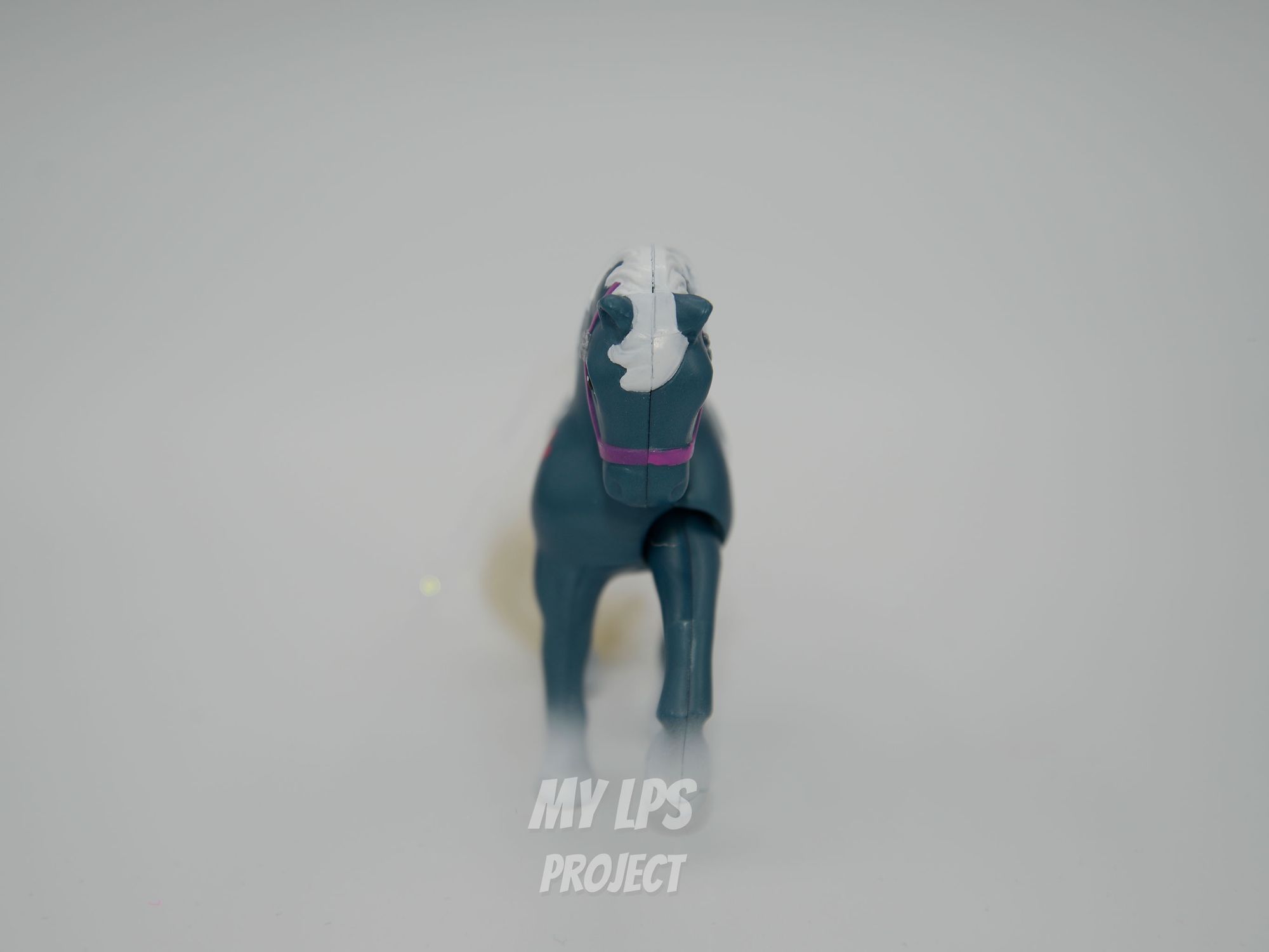 Detailed view of Dark Champion Jumping Pony