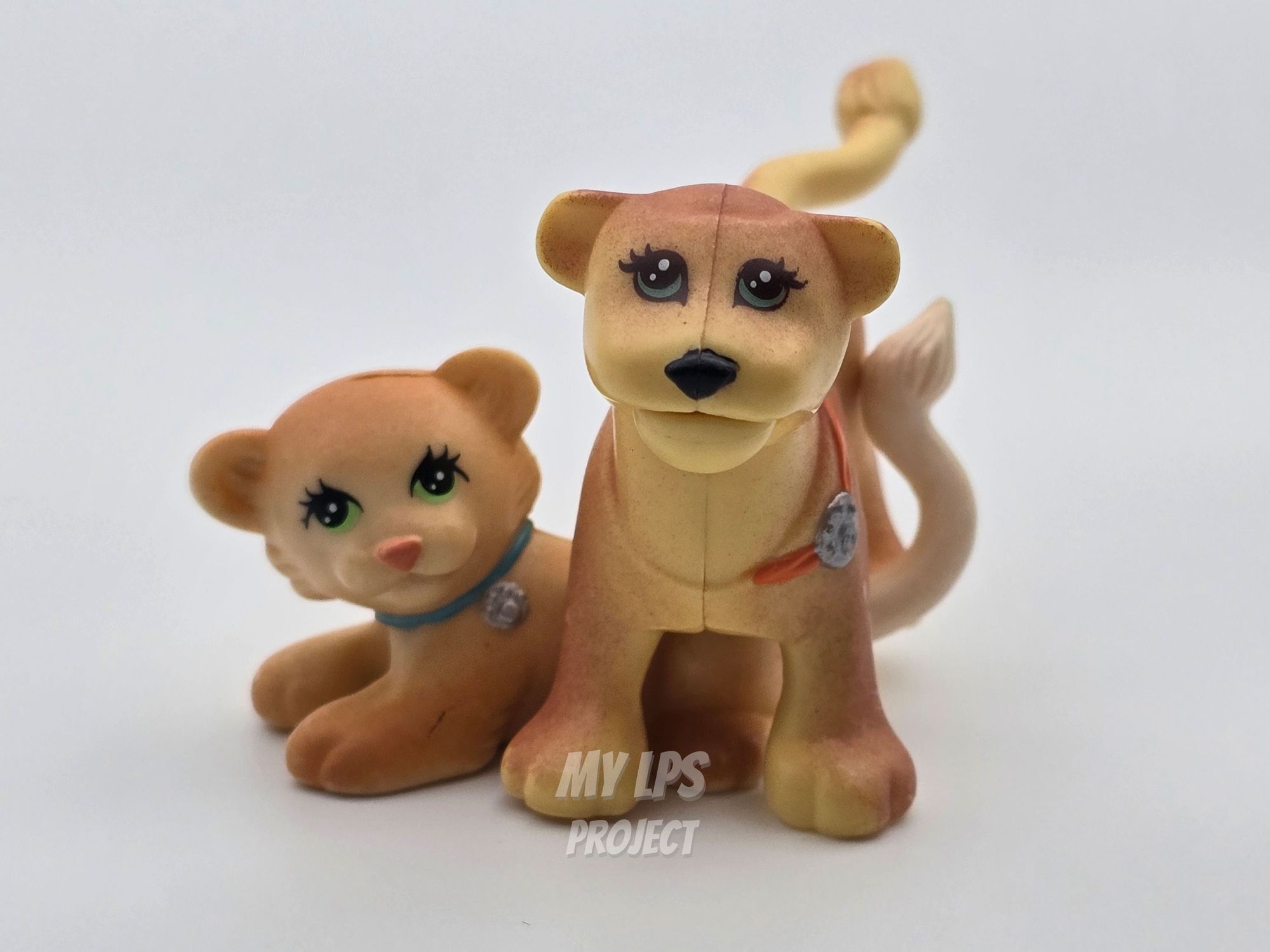 Detailed view of Lion cub