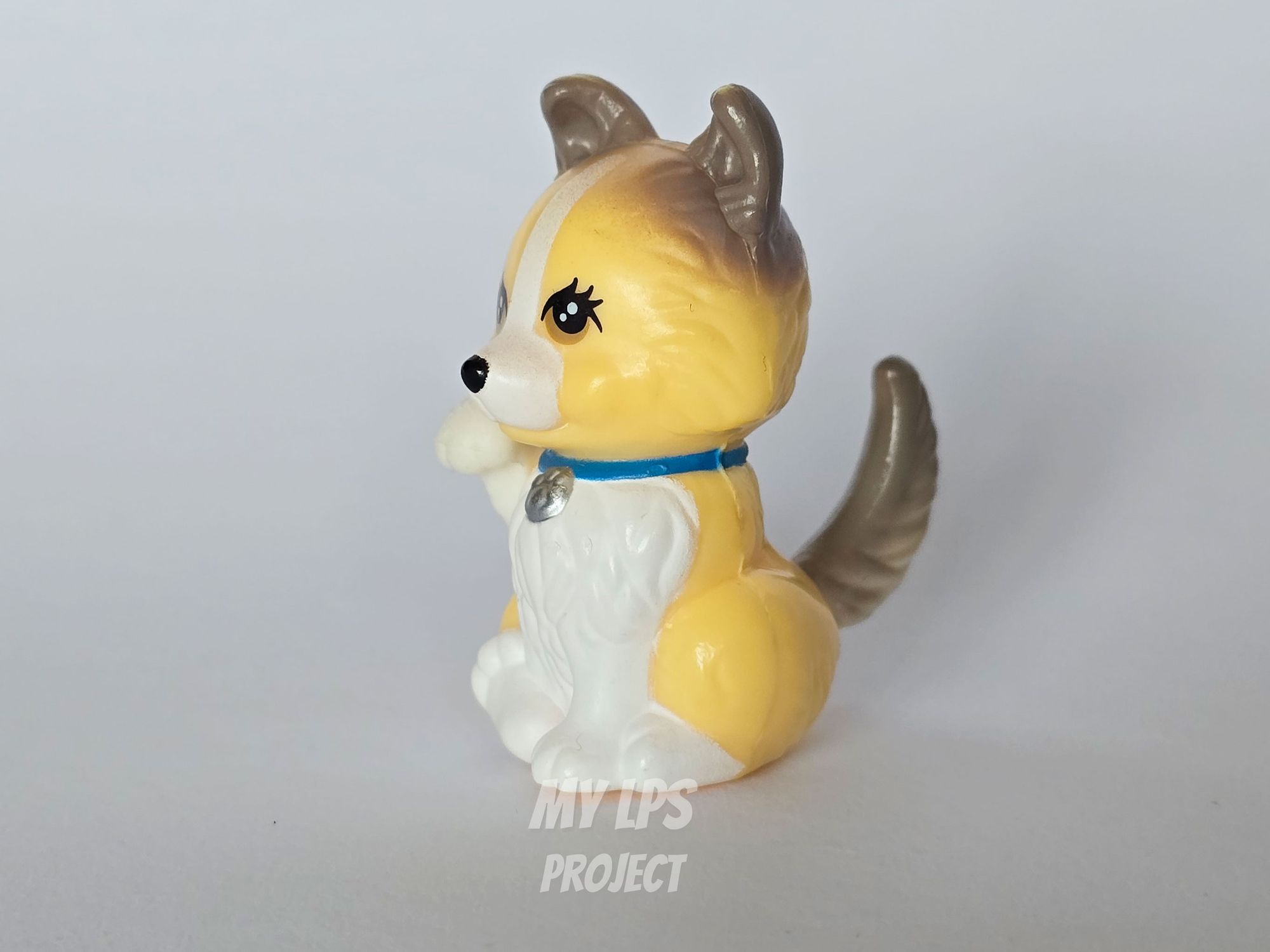 Detailed view of Clever Collie