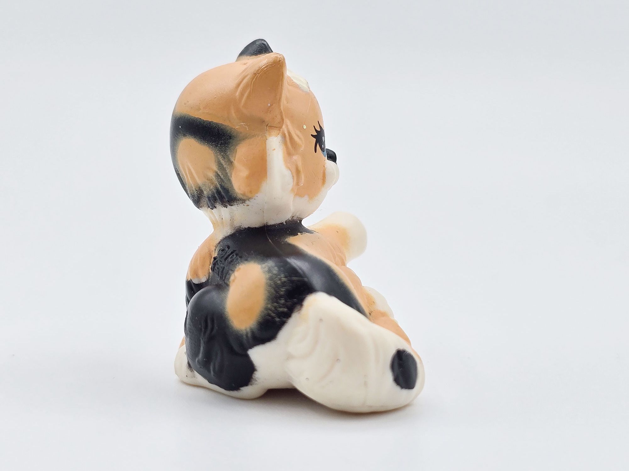 Detailed view of Calico cat