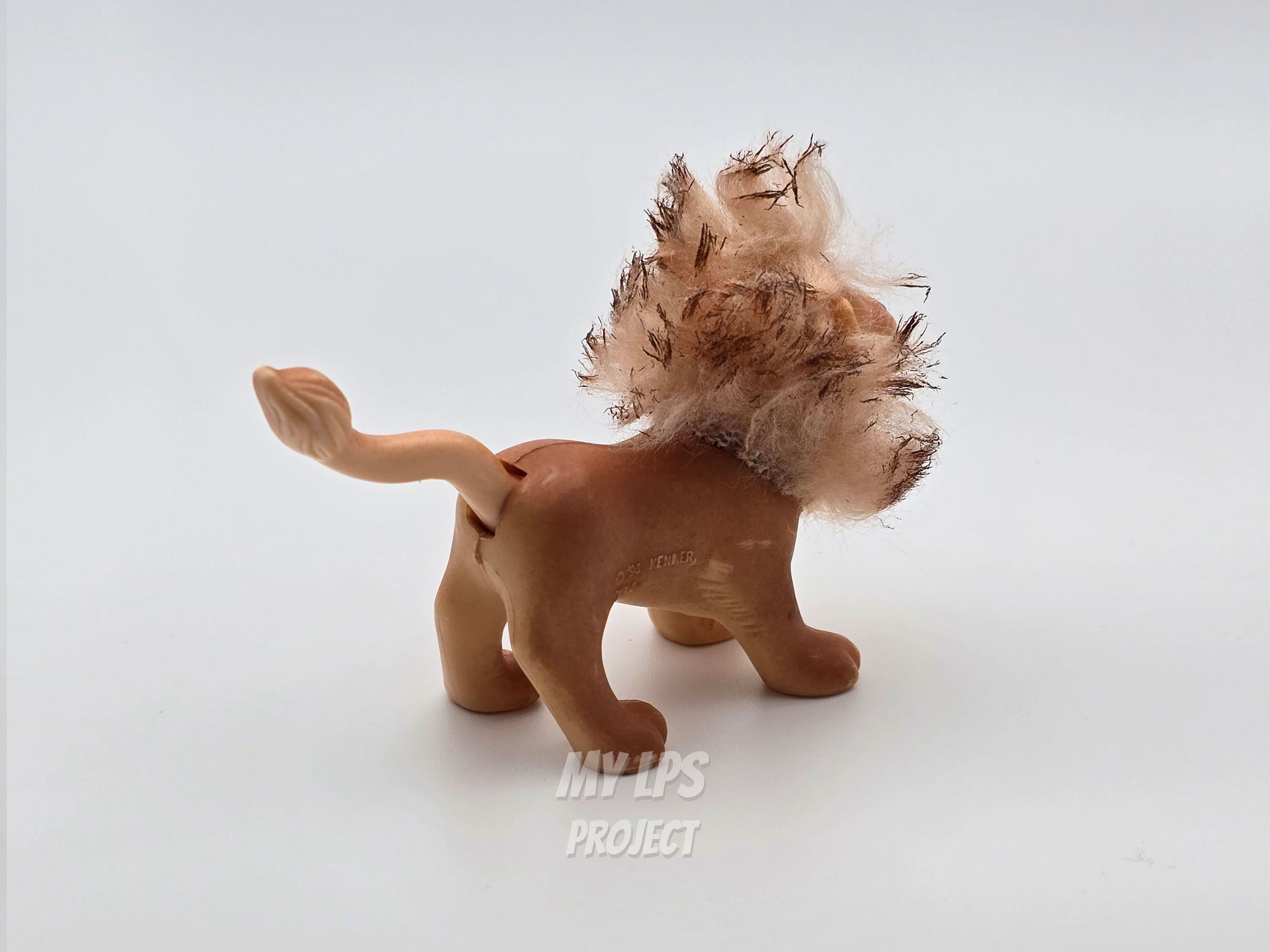 Detailed view of Lion dad