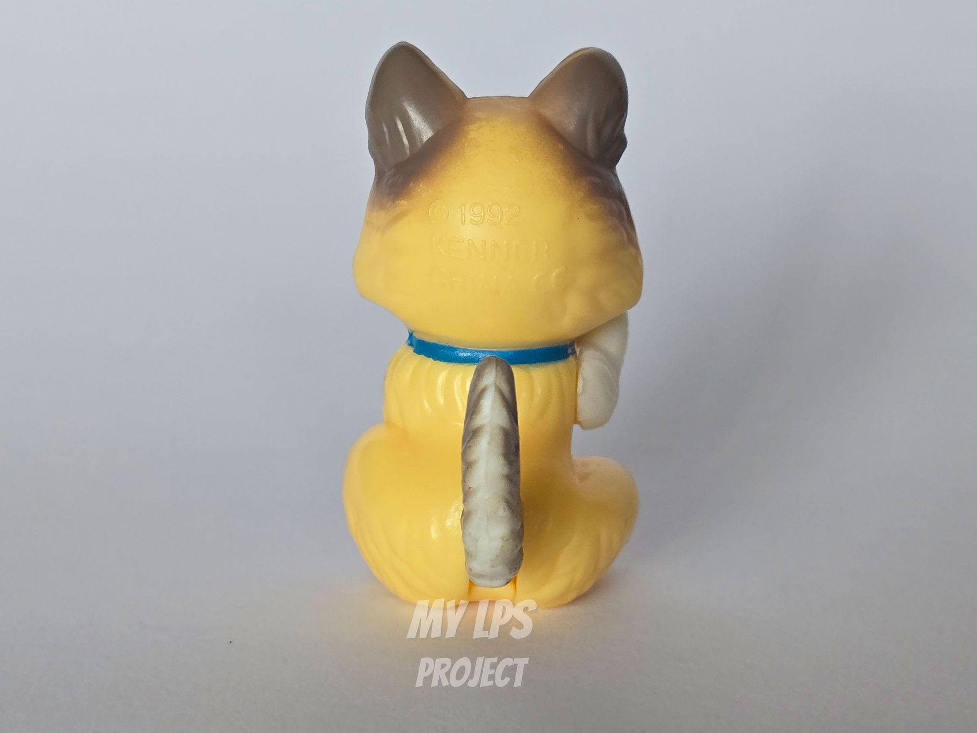 Detailed view of Clever Collie