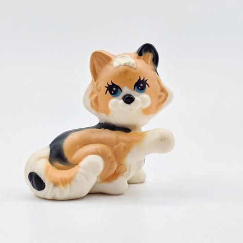 Cover image from Calico cat