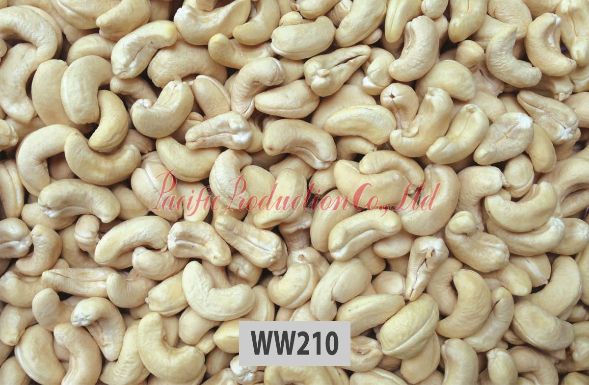 Vietnam Cashew Nut WW210