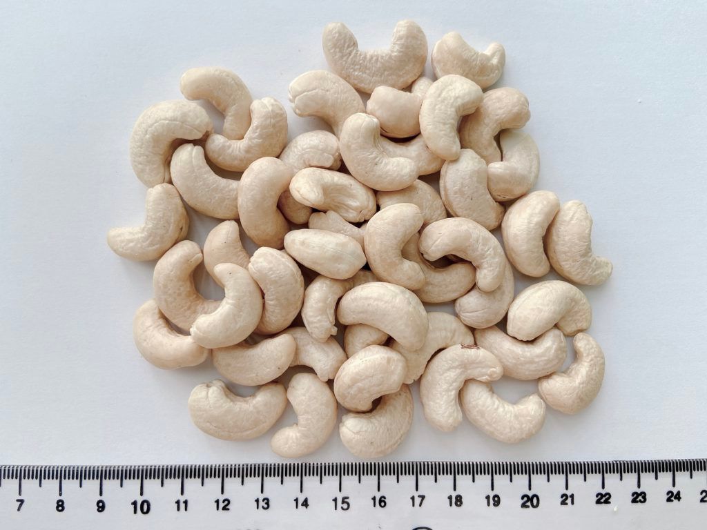 Cashew Nut WW320