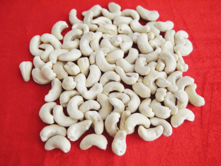 WW450 CASHEW NUTS