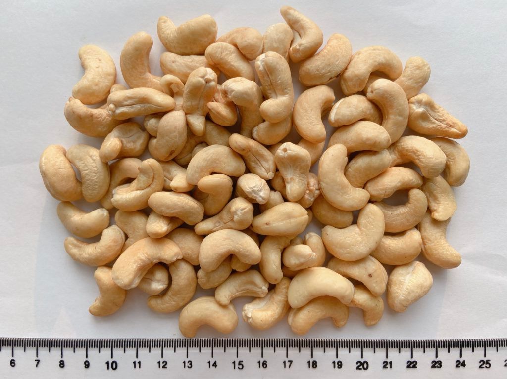 Cashew Nut SW320