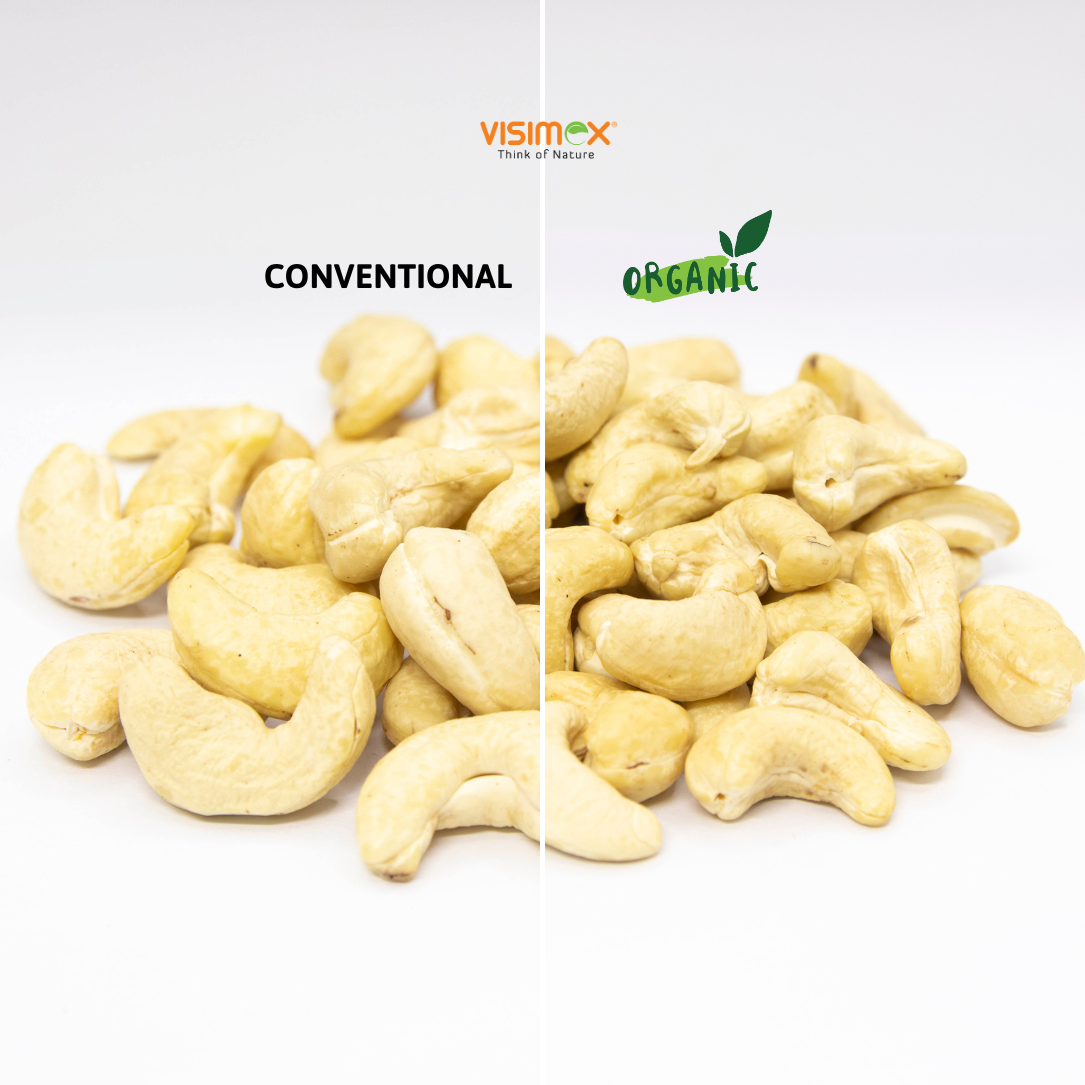 CASHEW NUTS WW450