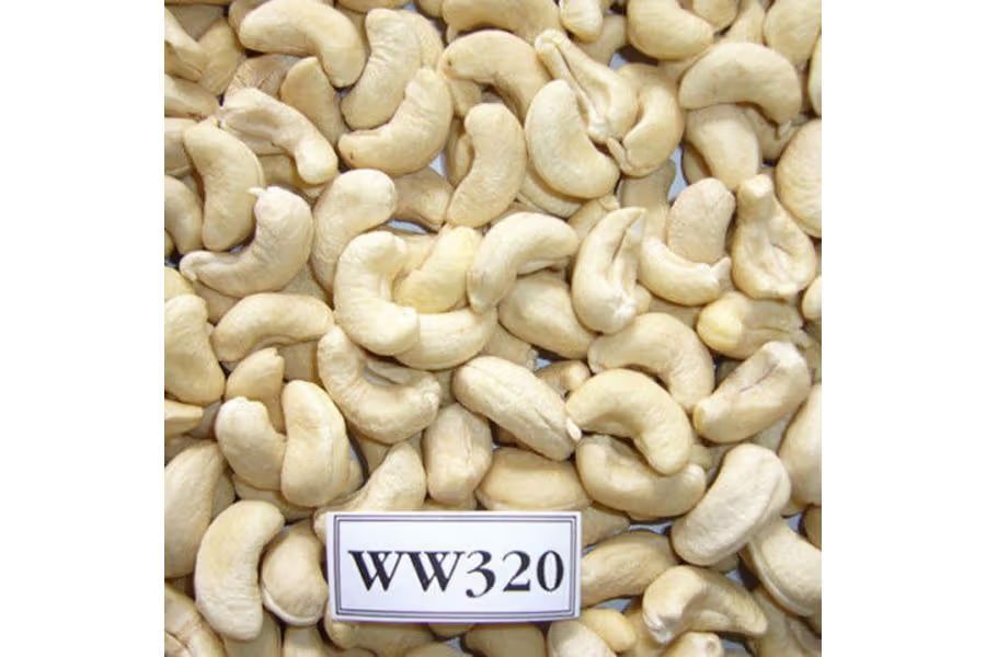 Cashew Nut W320